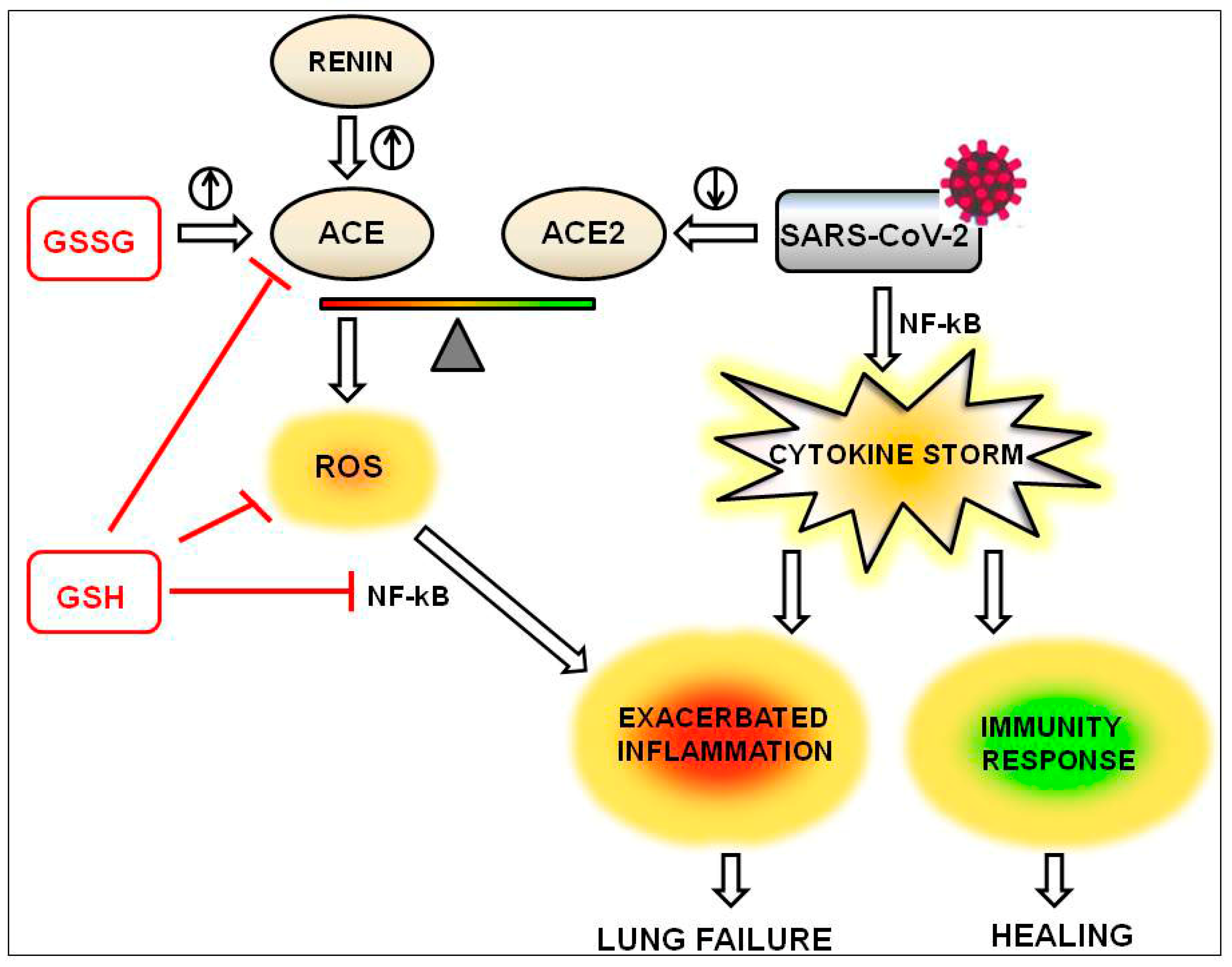 Antioxidants 09 00624 g002
