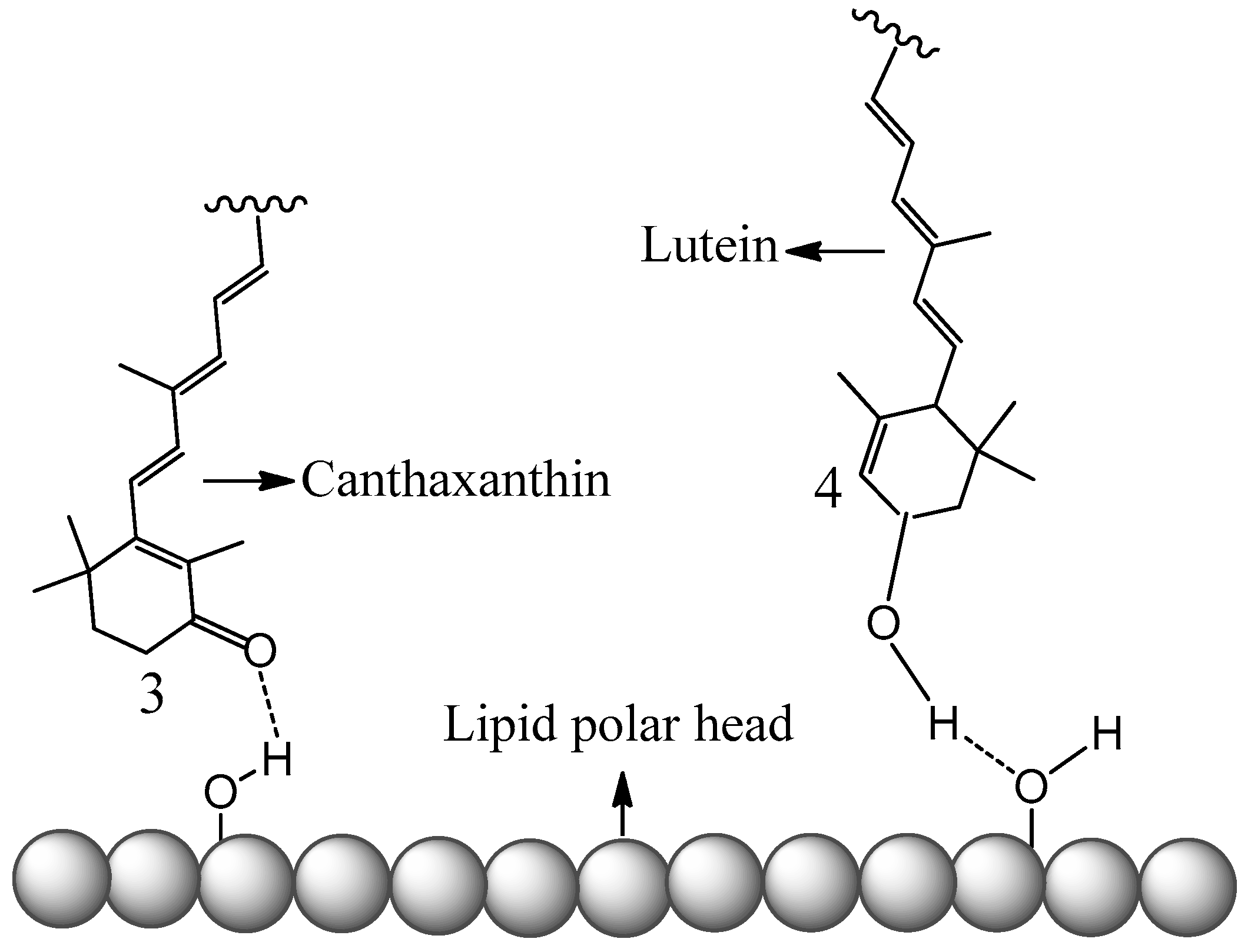 Antioxidants 09 00625 g006 Antioxidants 09 00625 g006