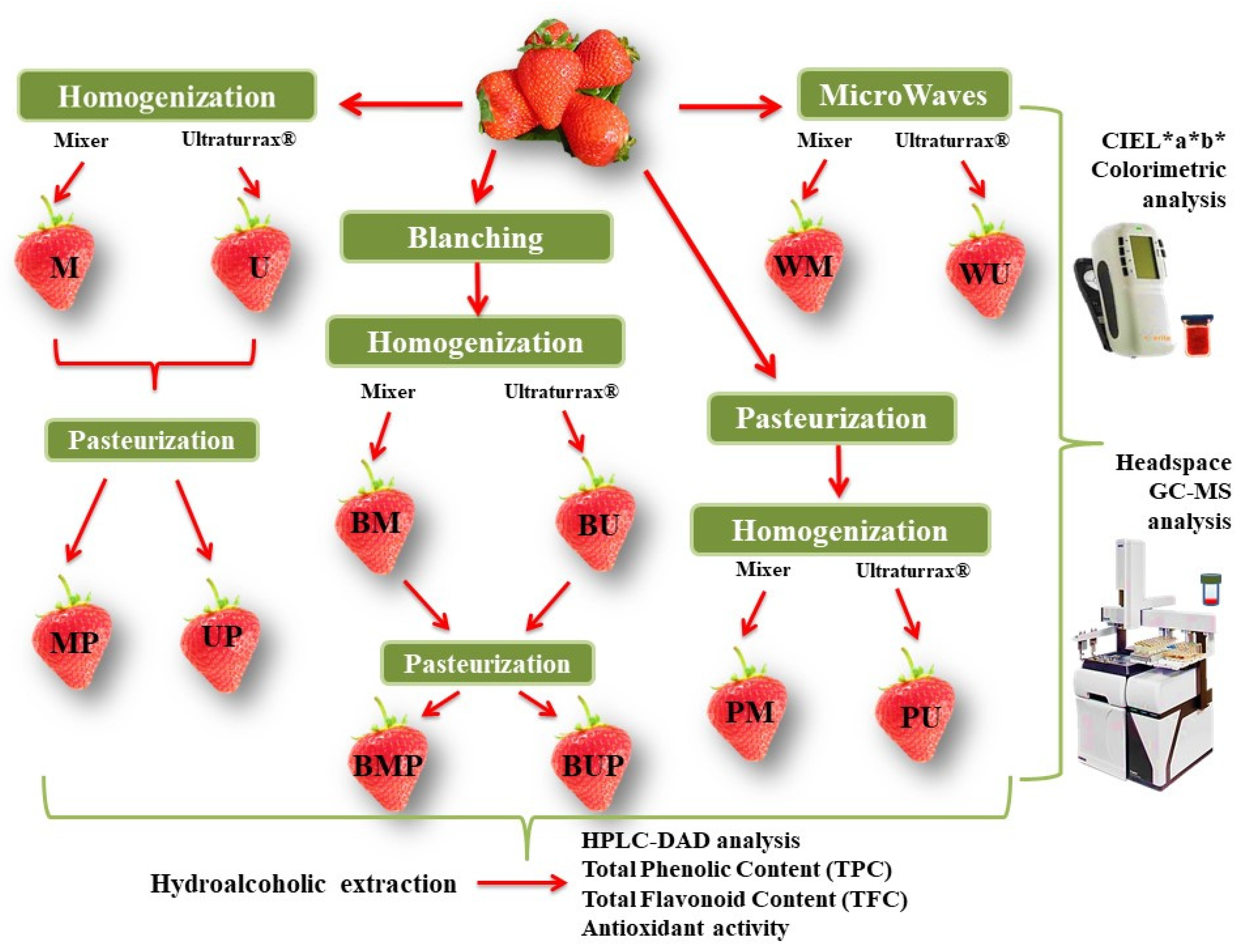 Antioxidants 09 00632 g001