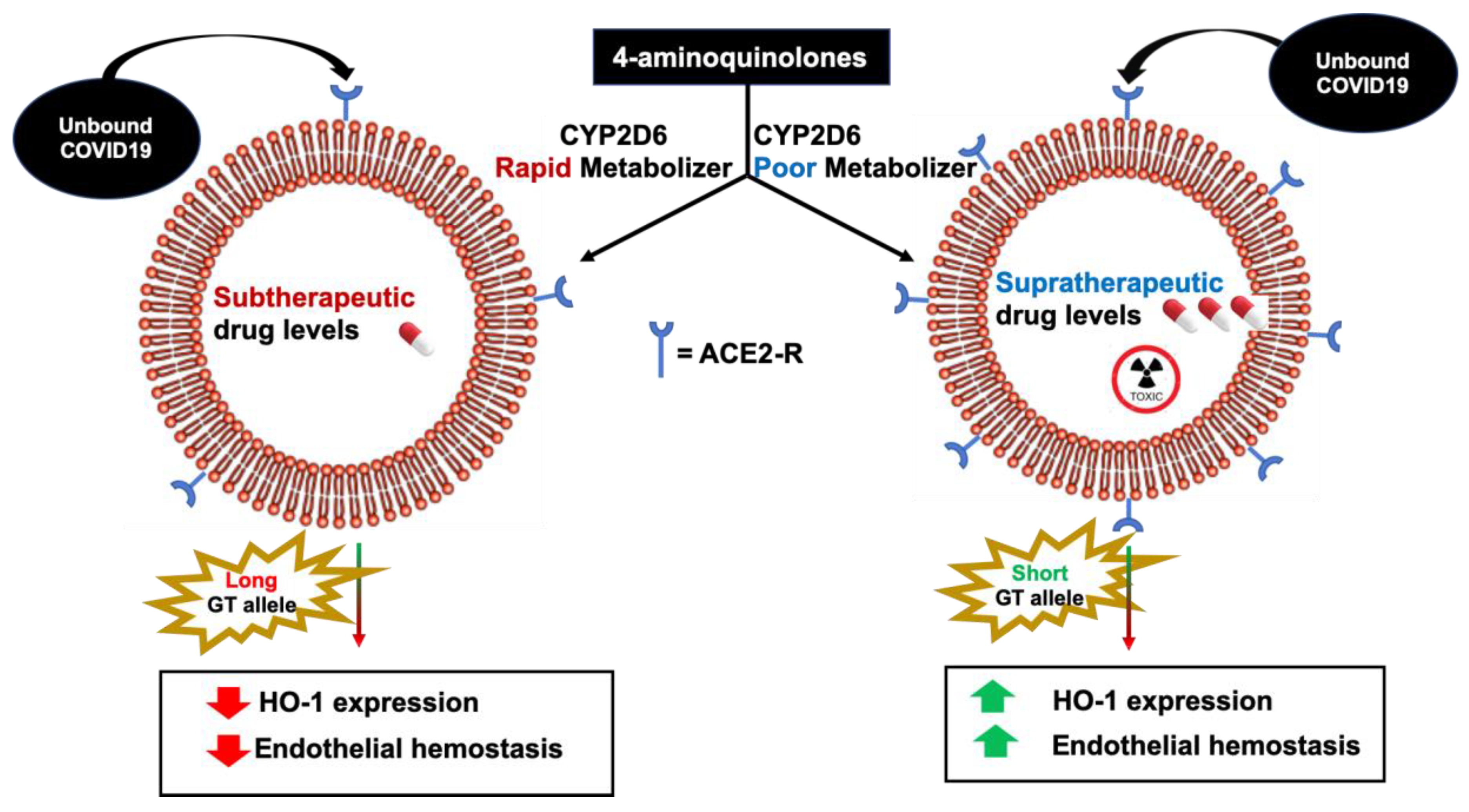 Antioxidants 09 00636 g005