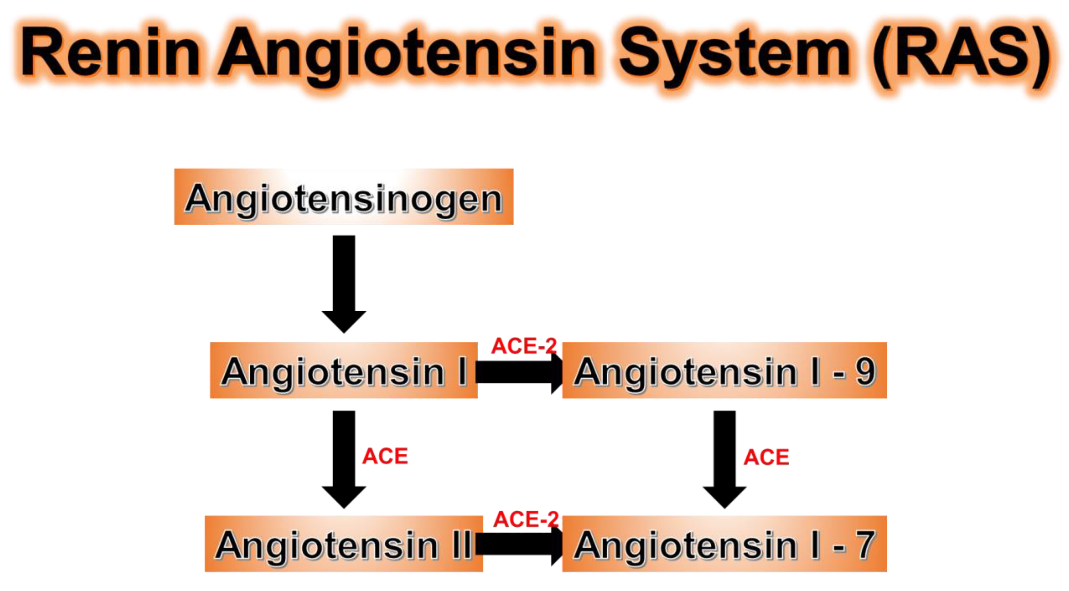 Antioxidants 09 00636 g008