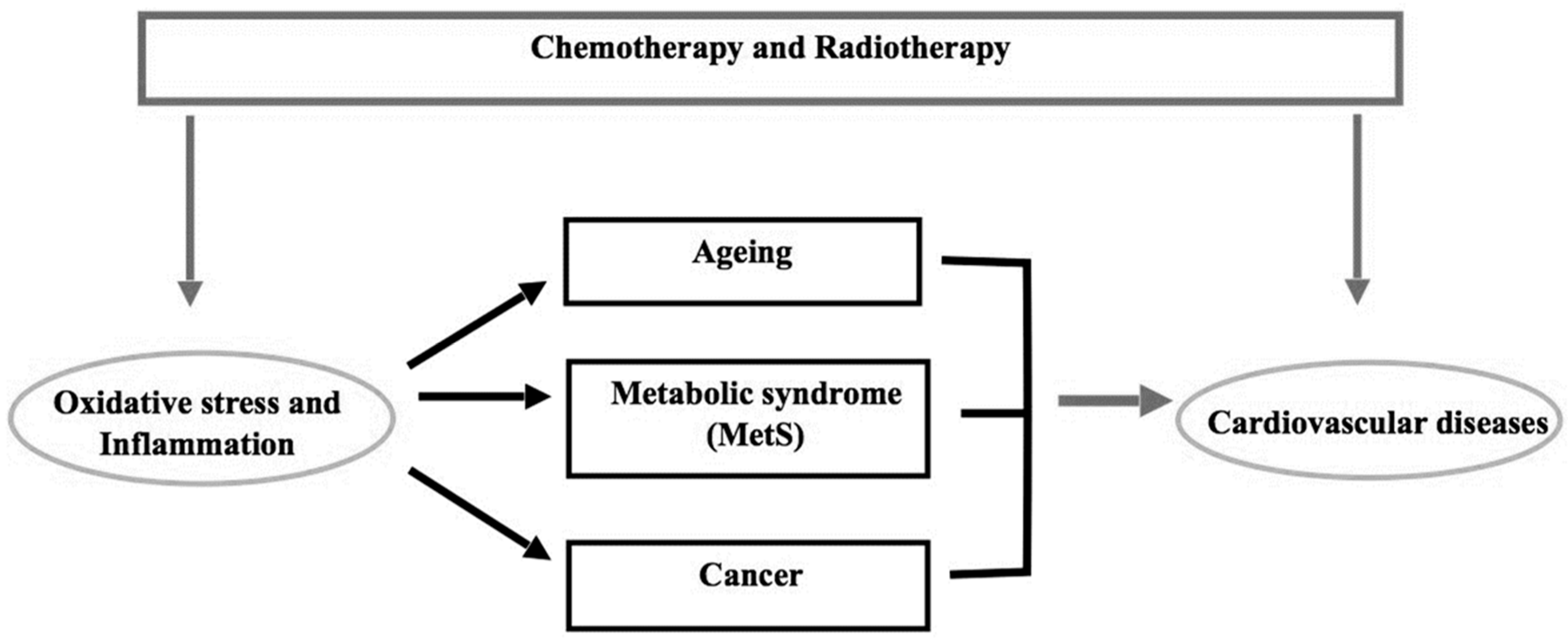 Antioxidants 09 00641 g001