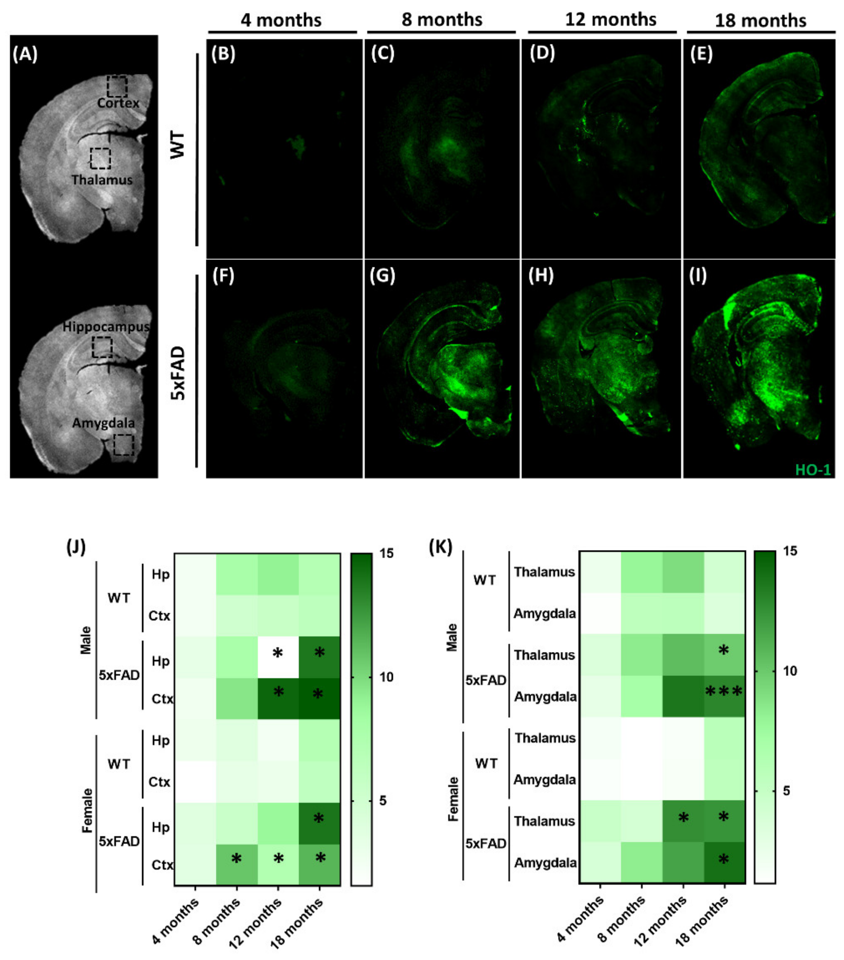 Antioxidants 09 00644 g001 Antioxidants 09 00644 g001