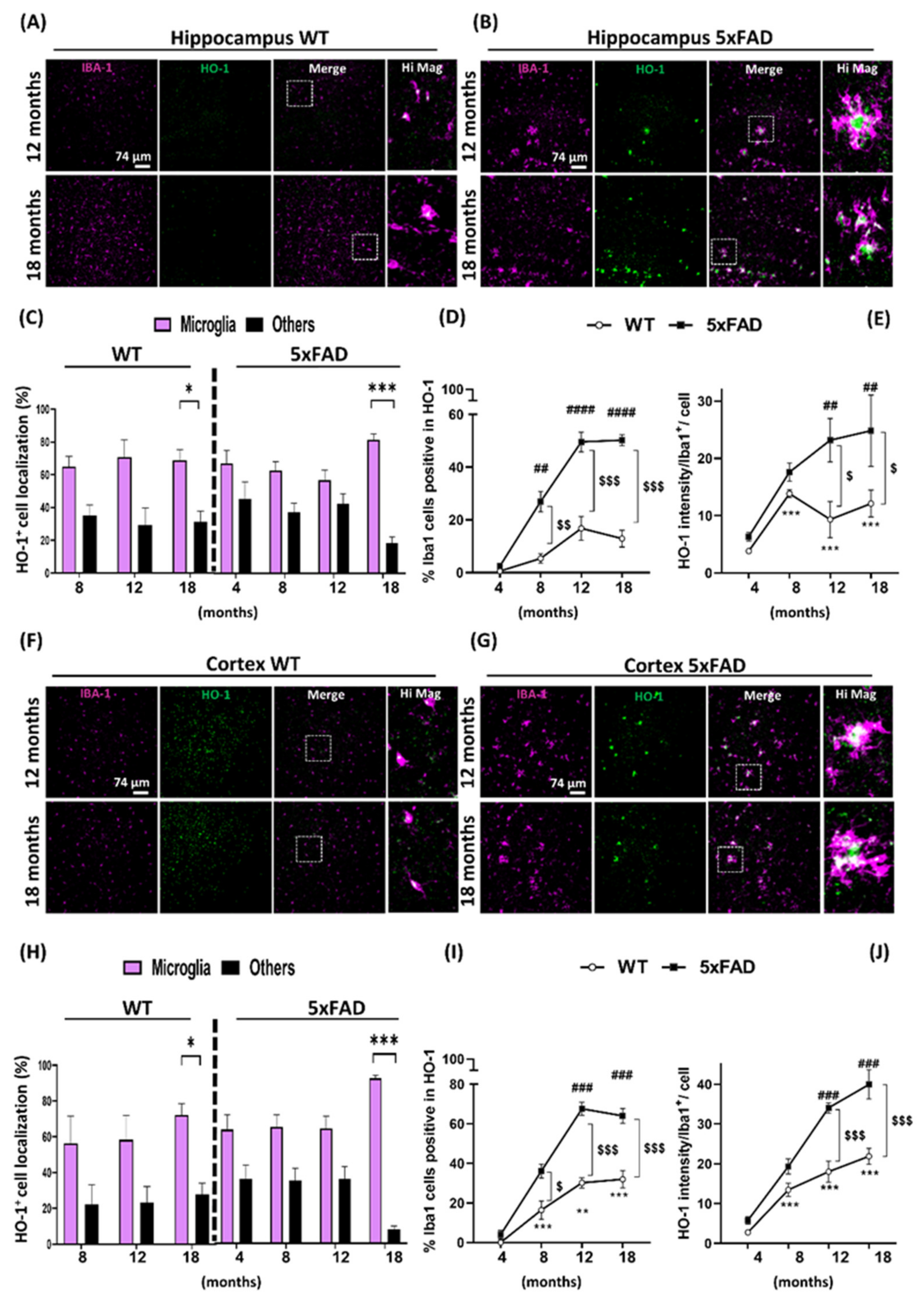 Antioxidants 09 00644 g002 Antioxidants 09 00644 g002