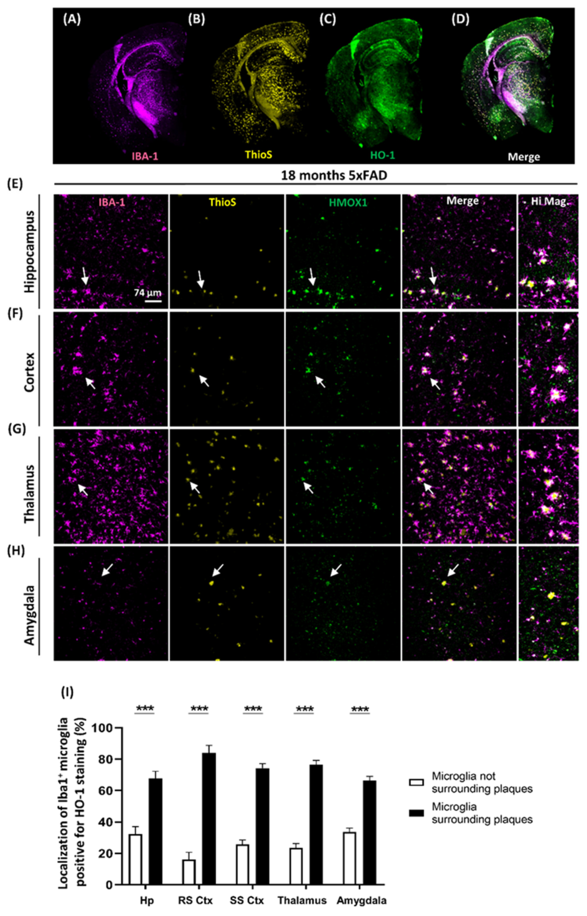 Antioxidants 09 00644 g005 Antioxidants 09 00644 g005