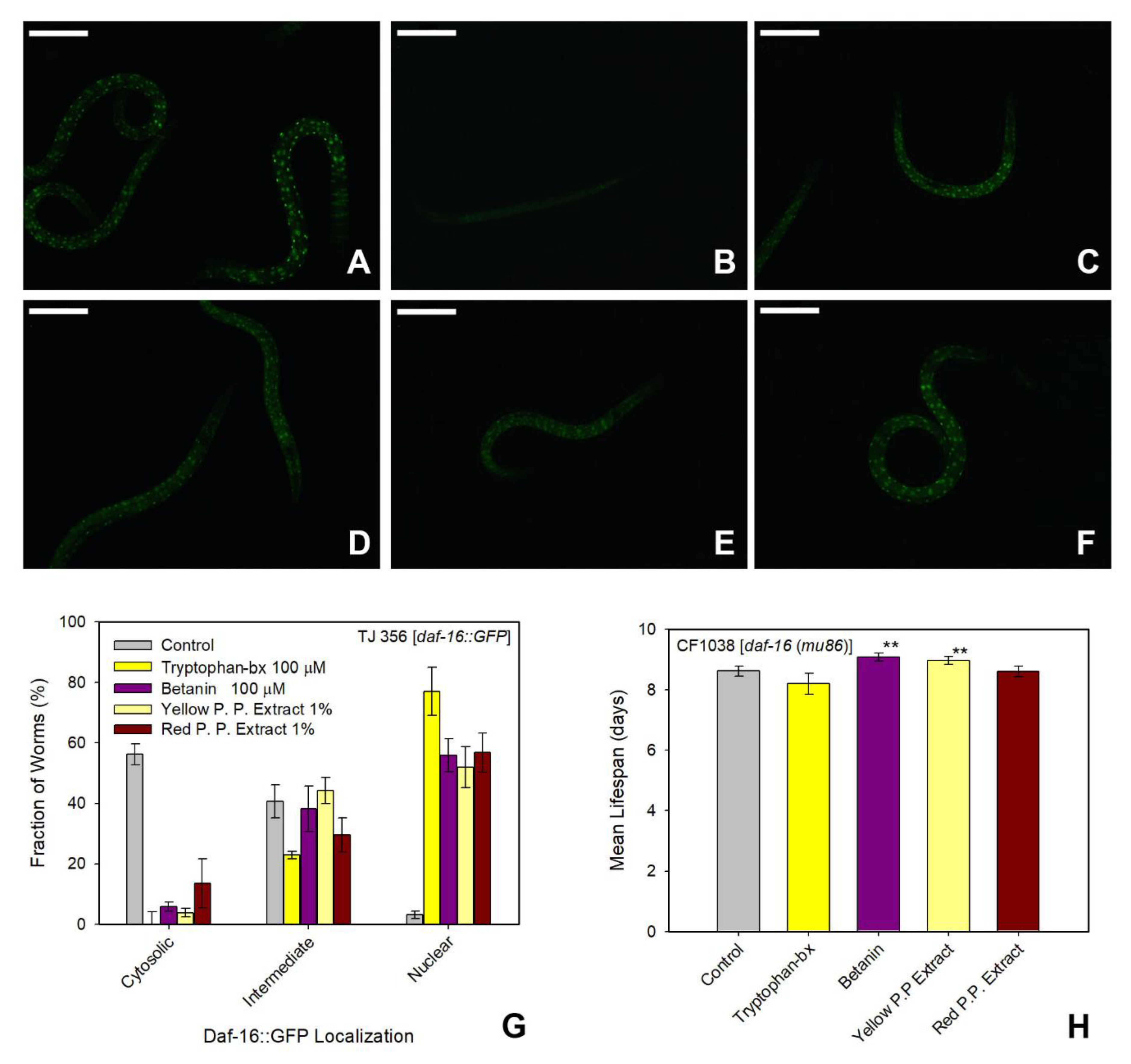 Antioxidants 09 00646 g007