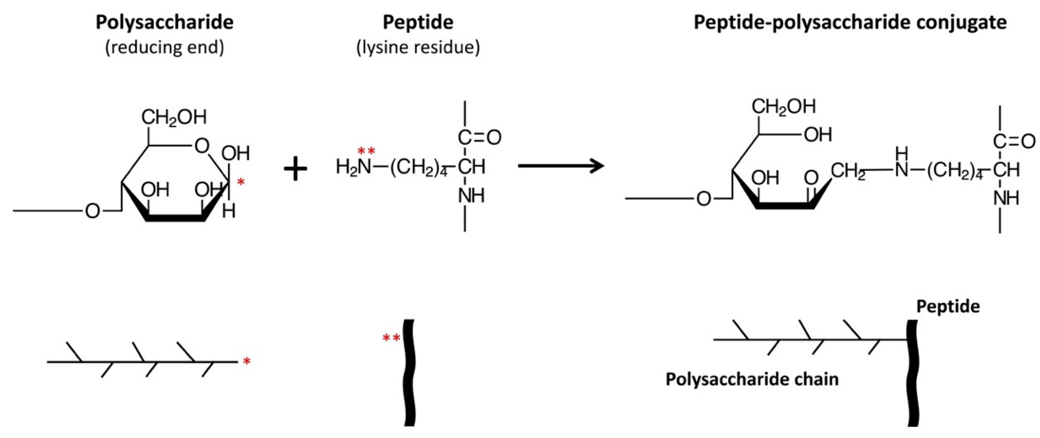 Antioxidants 09 00648 g001
