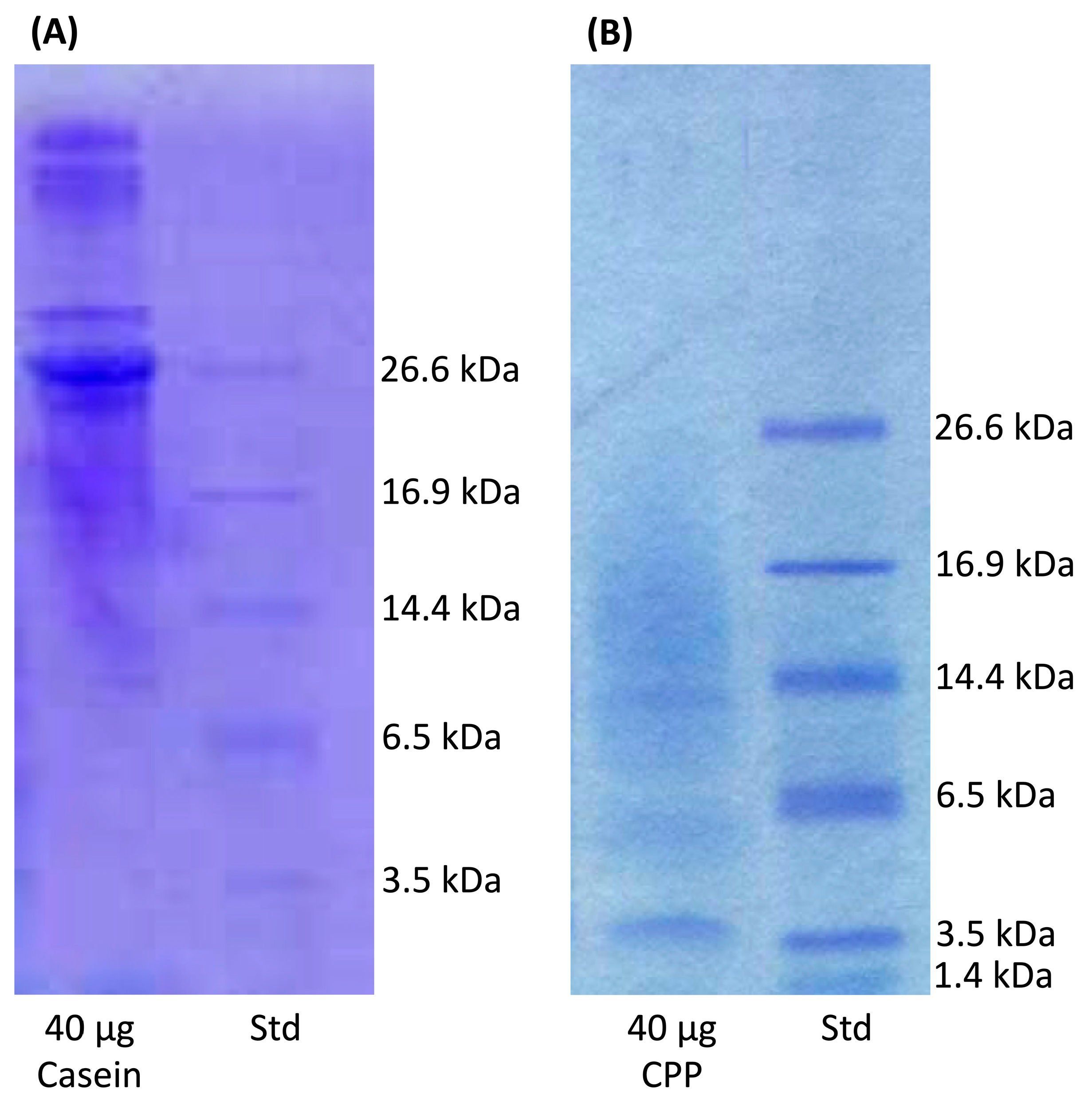 Antioxidants 09 00648 g002