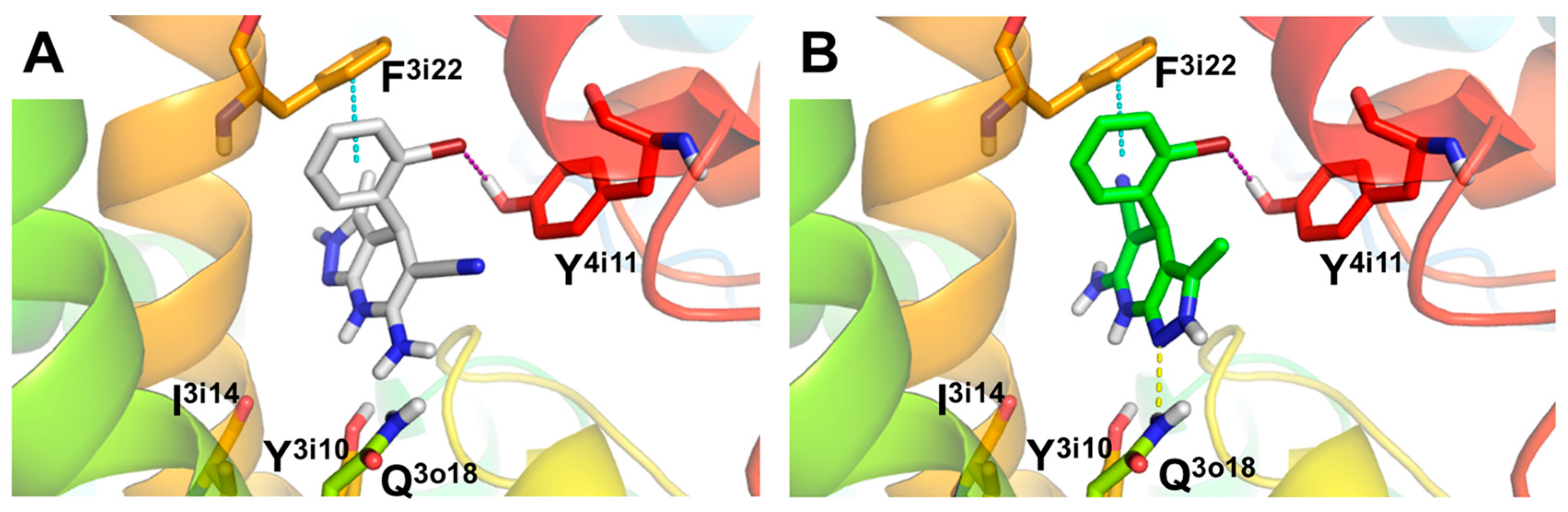 Antioxidants 09 00650 g002 Antioxidants 09 00650 g002