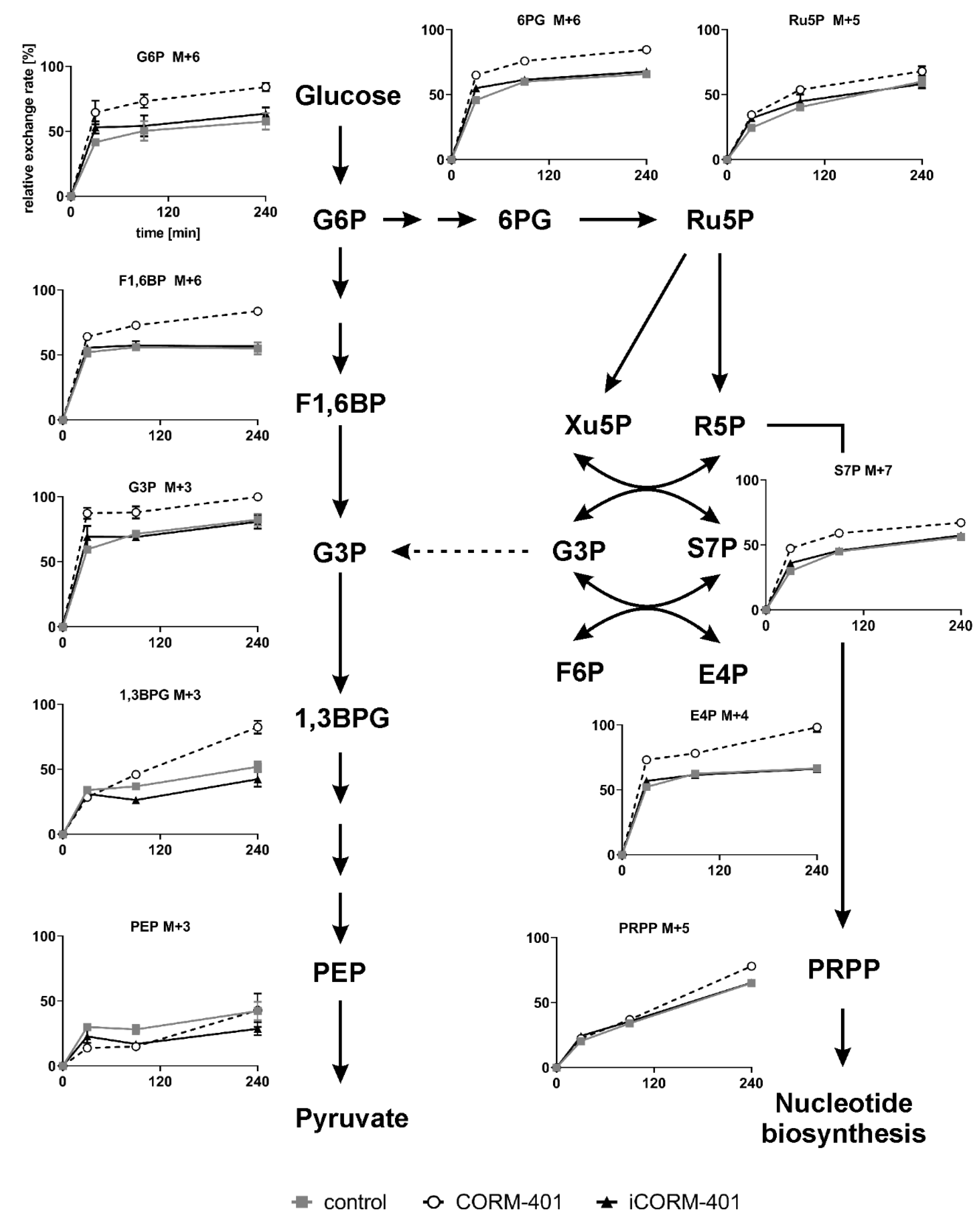 Antioxidants 09 00652 g005 Antioxidants 09 00652 g005