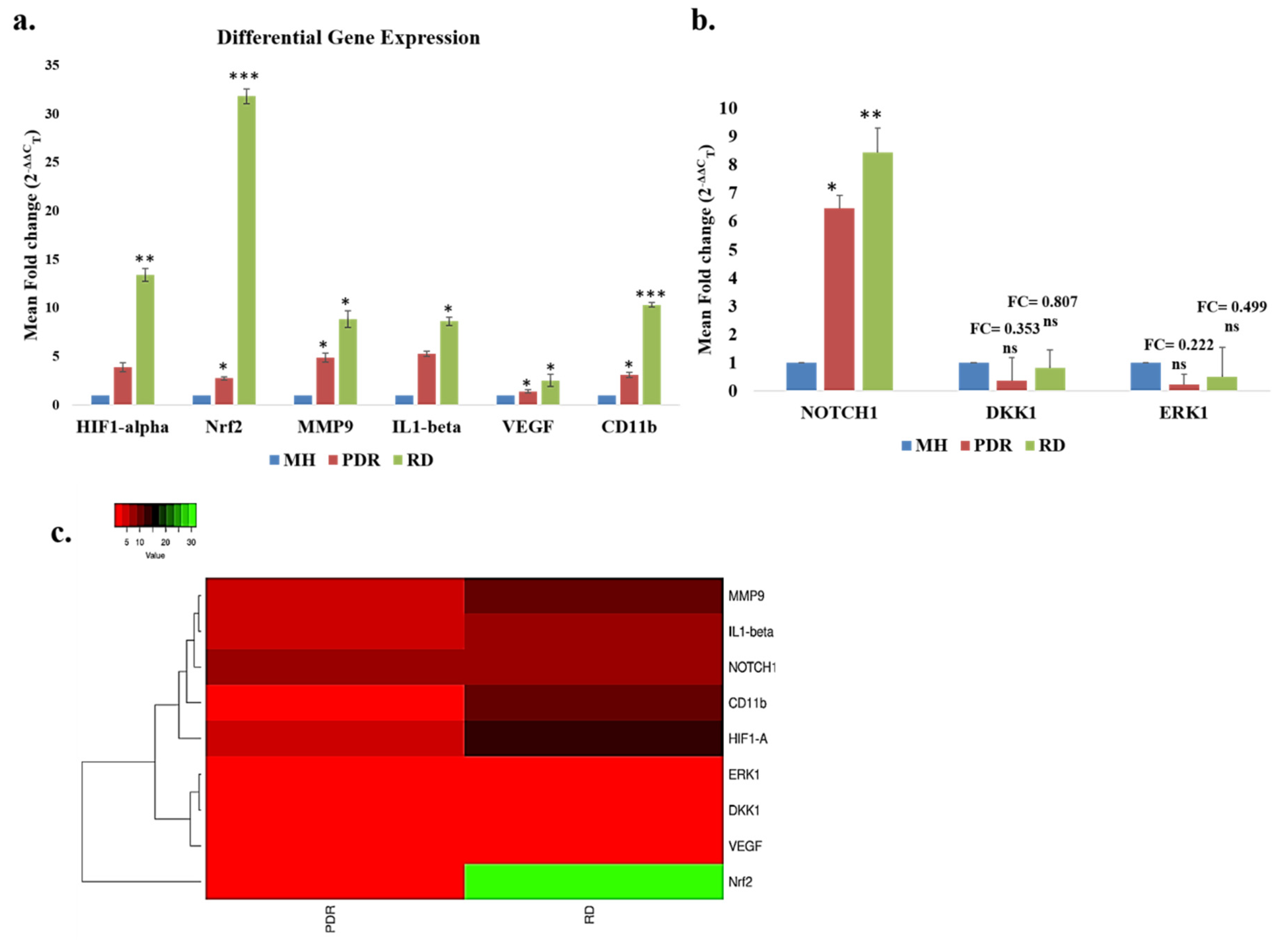 Antioxidants 09 00654 g005