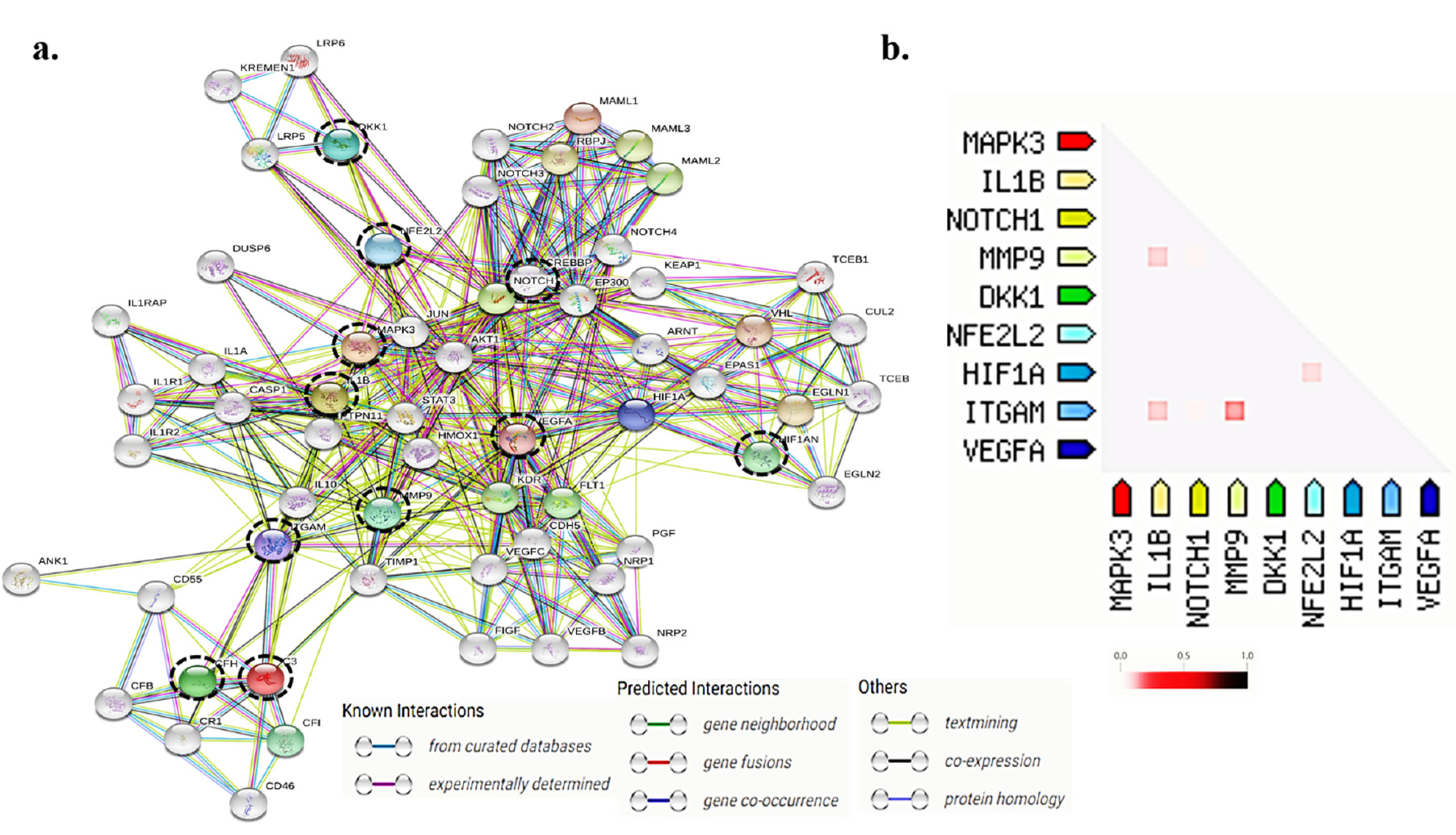 Antioxidants 09 00654 g007