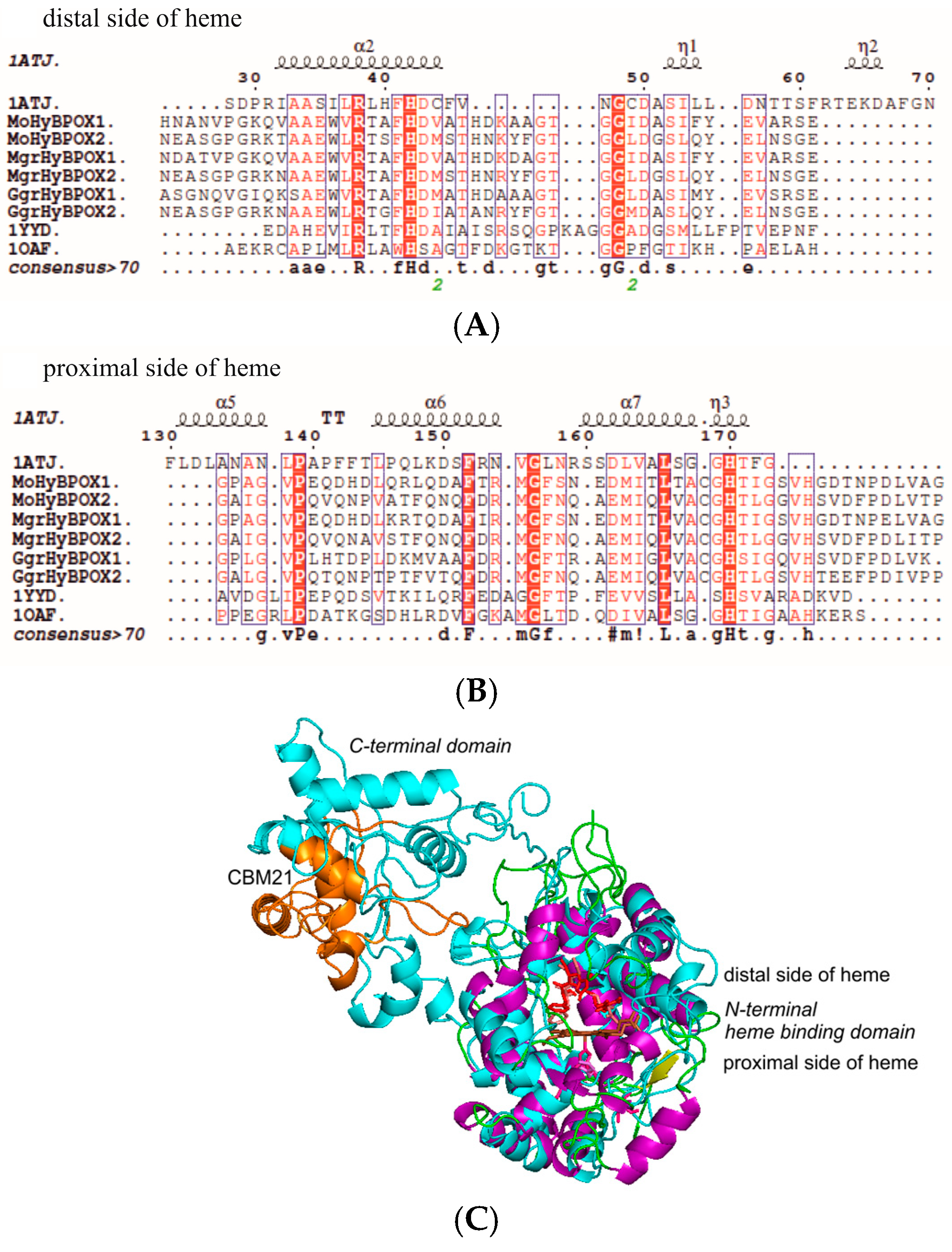 Antioxidants 09 00655 g006
