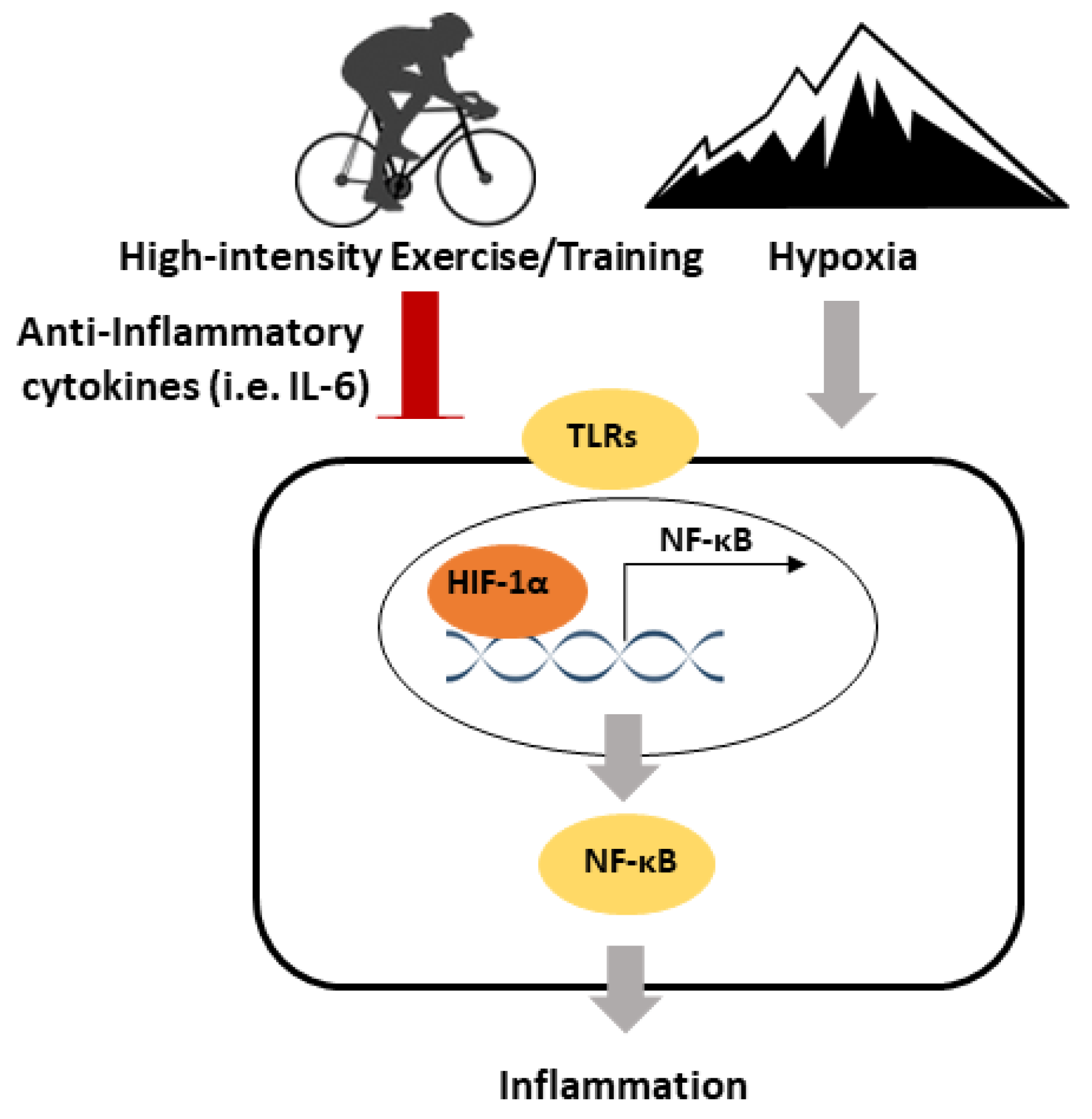 Antioxidants 09 00656 g002