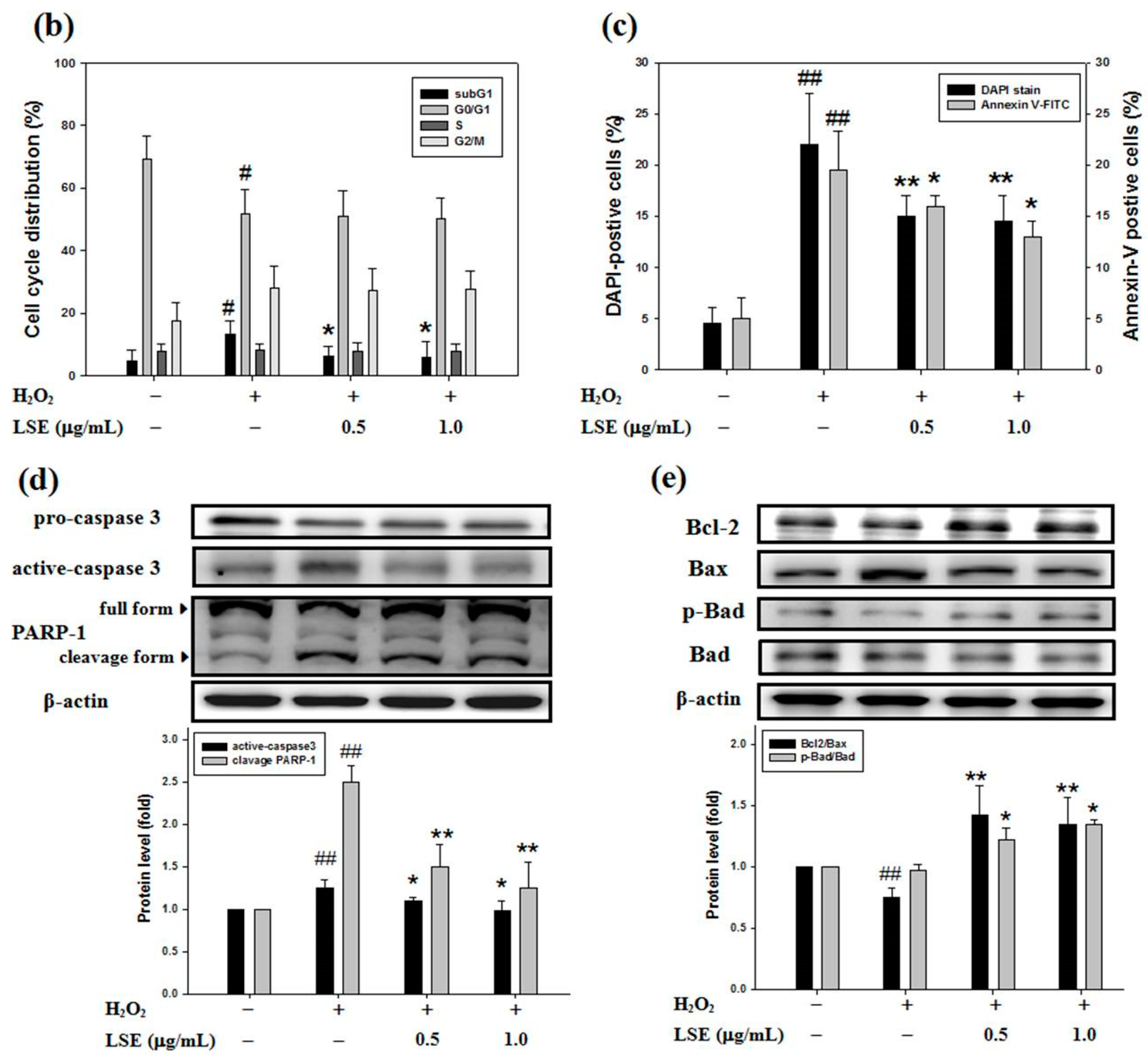 Antioxidants 09 00658 g003b