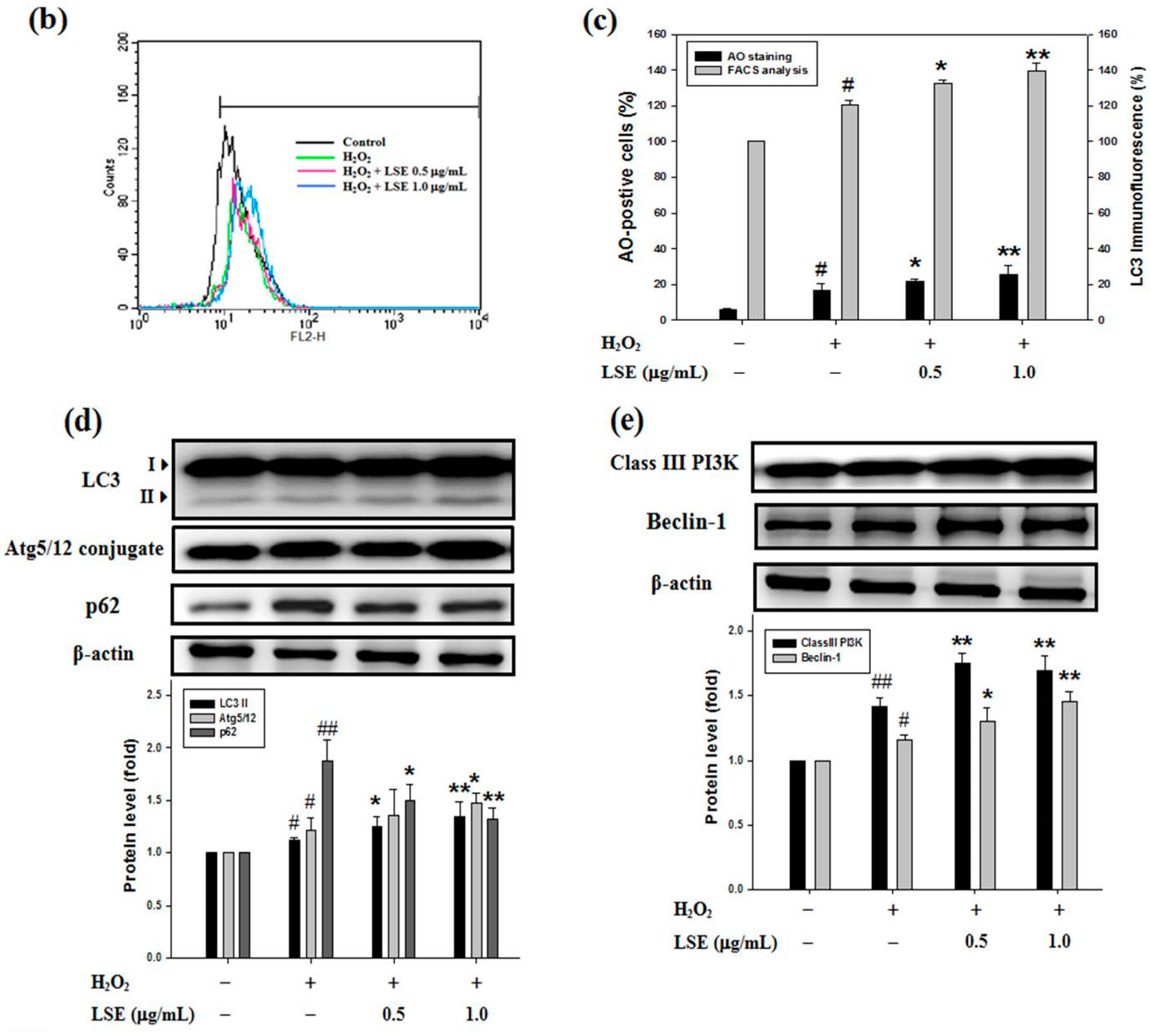 Antioxidants 09 00658 g004b