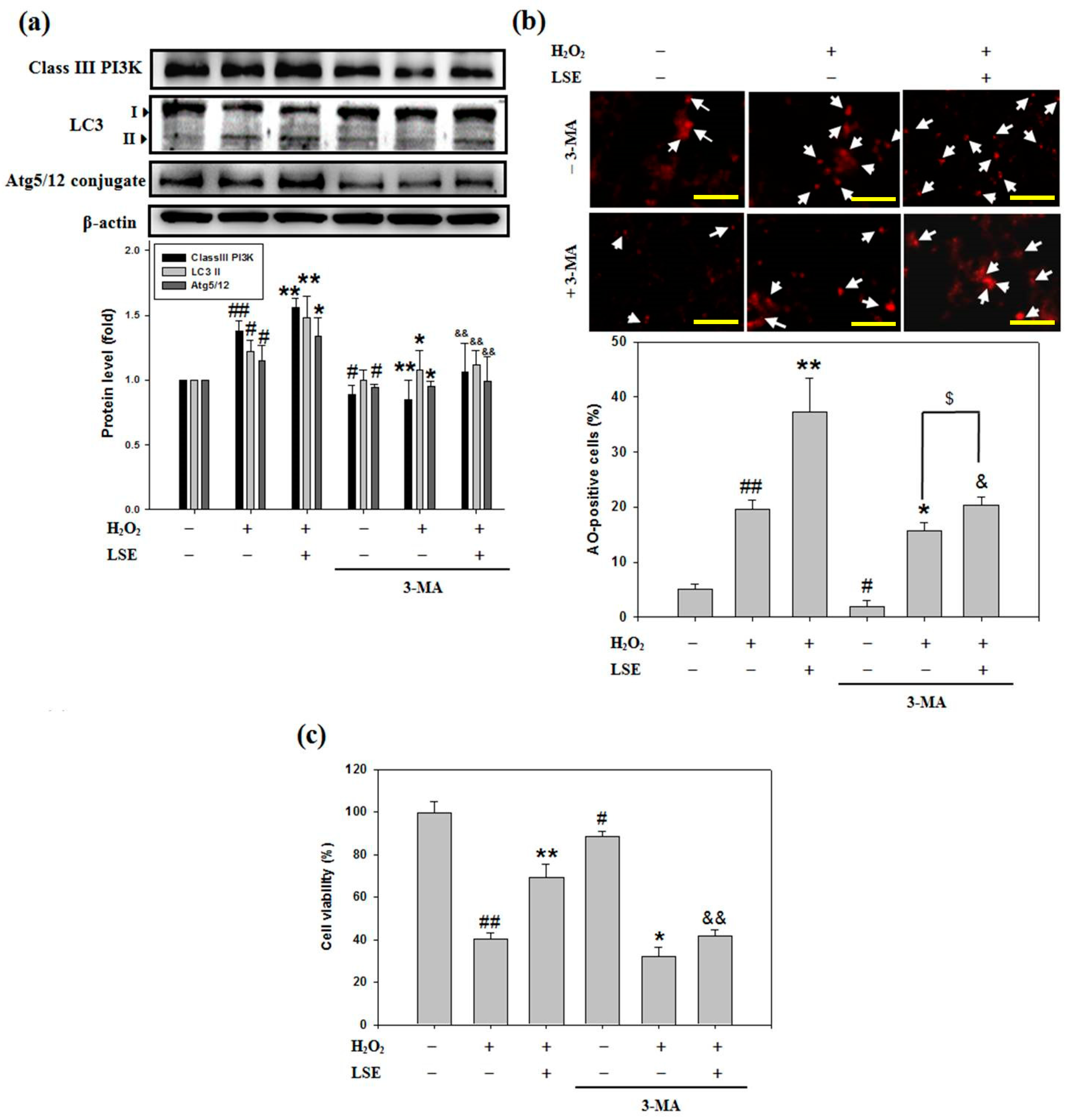 Antioxidants 09 00658 g005