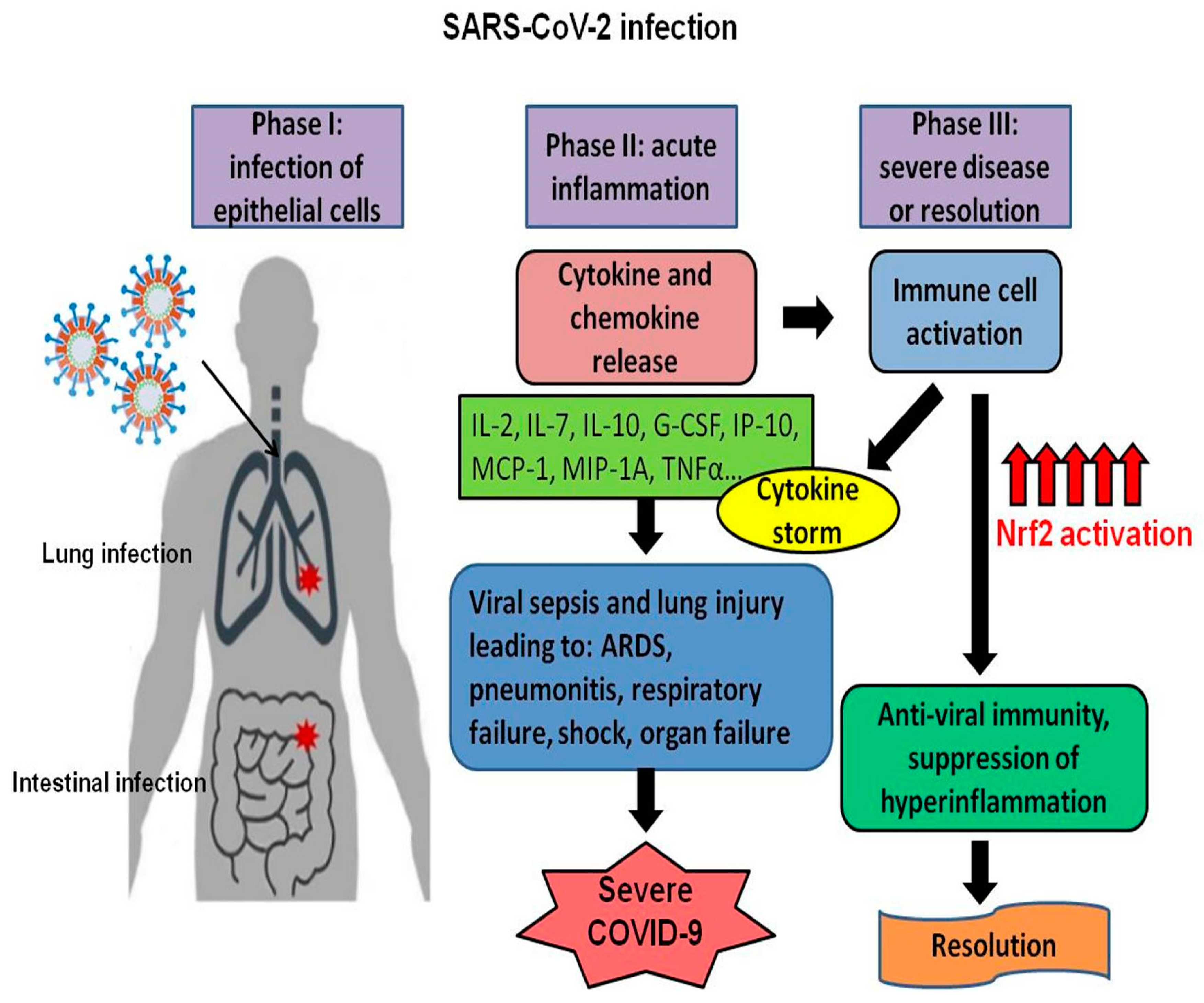 Antioxidants 09 00659 g003