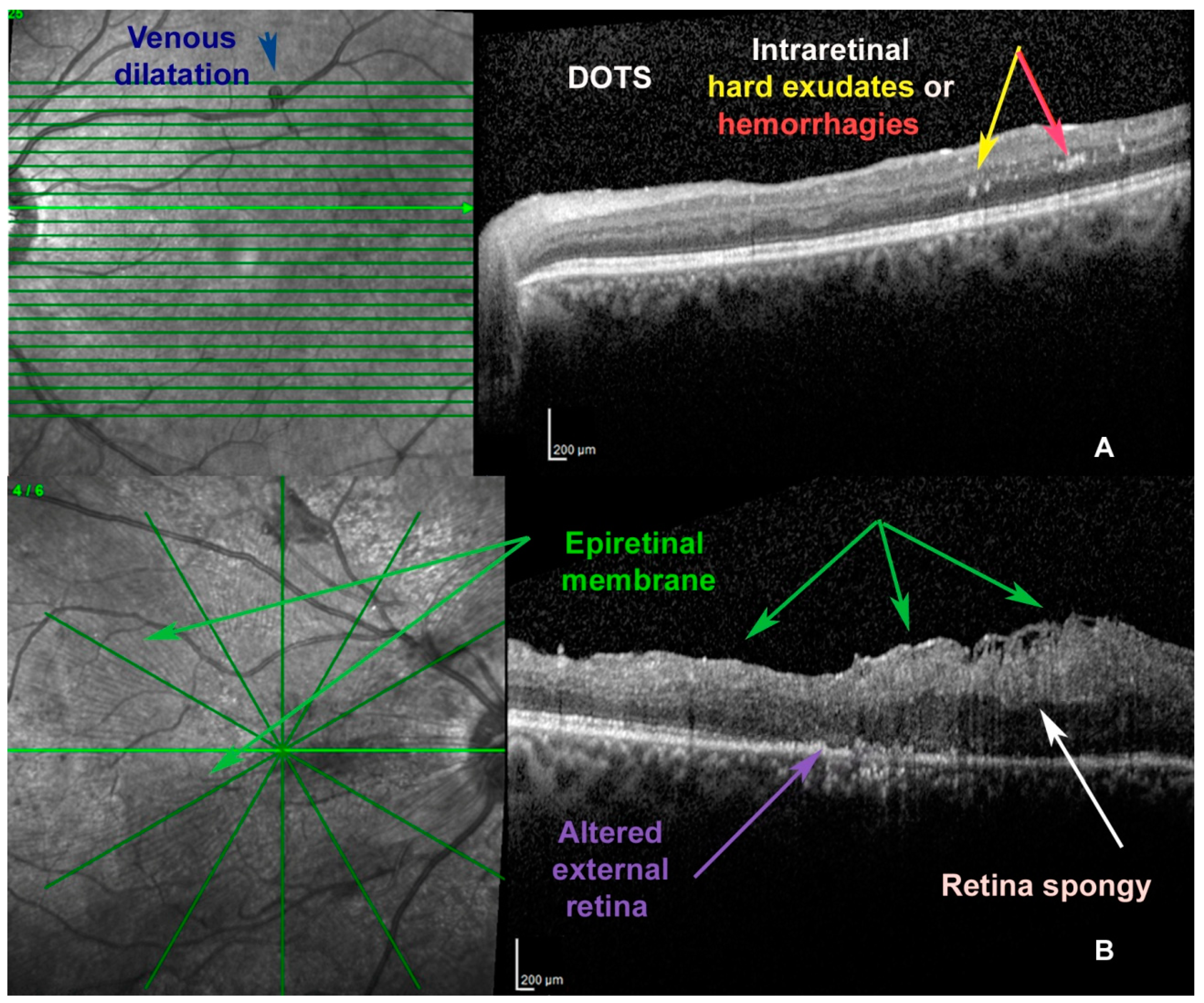 Antioxidants 09 00666 g001