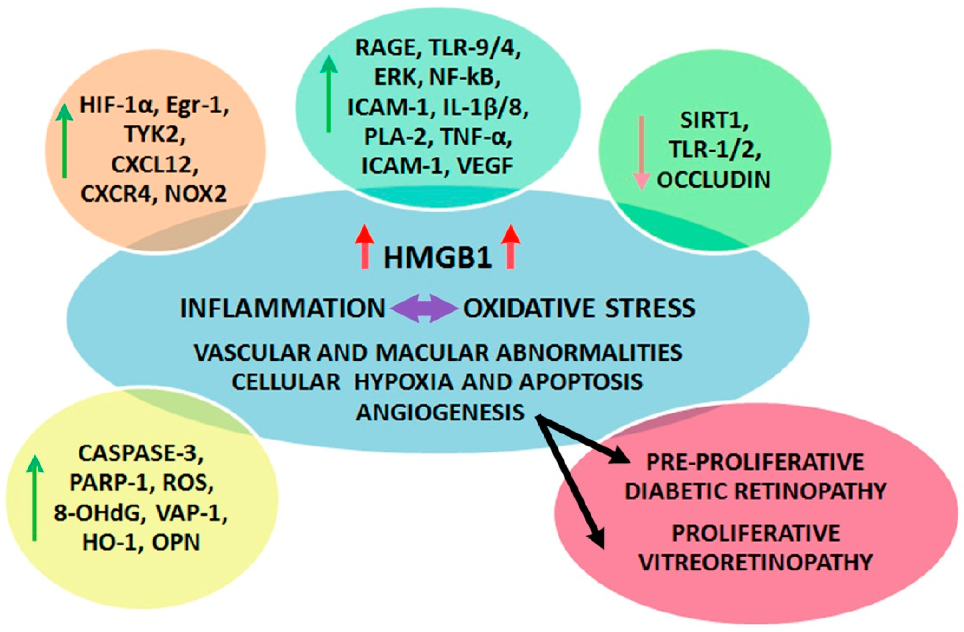 Antioxidants 09 00666 sch002