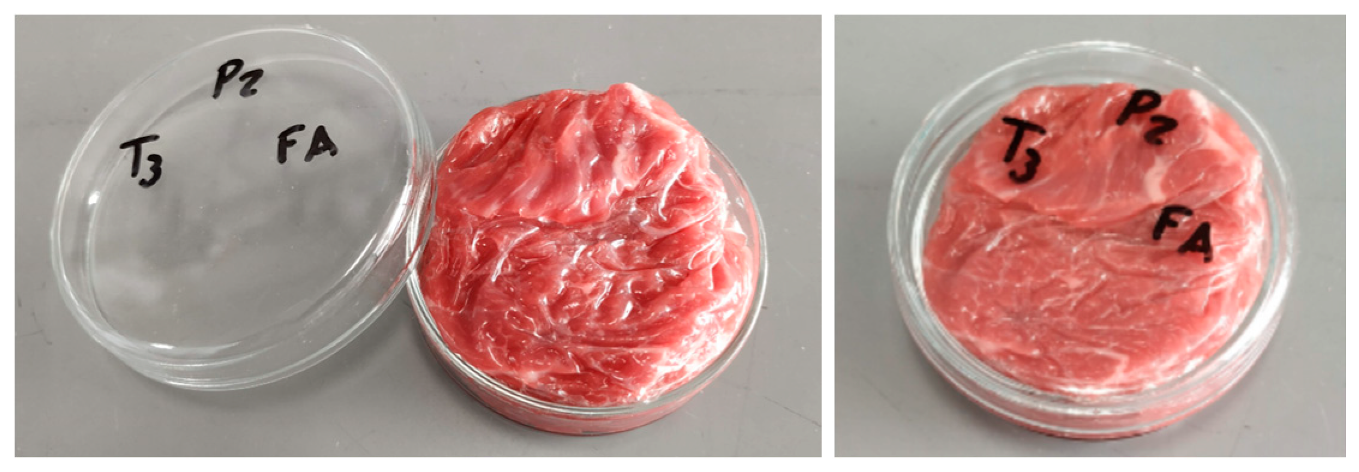 Antioxidants 09 00667 g001