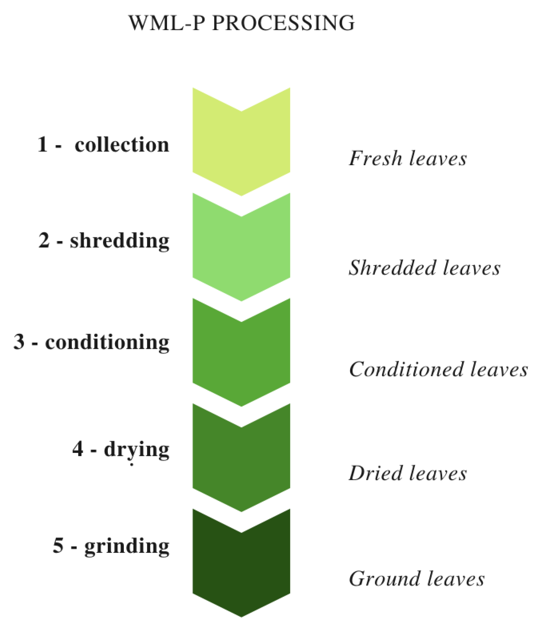 Antioxidants 09 00668 g001