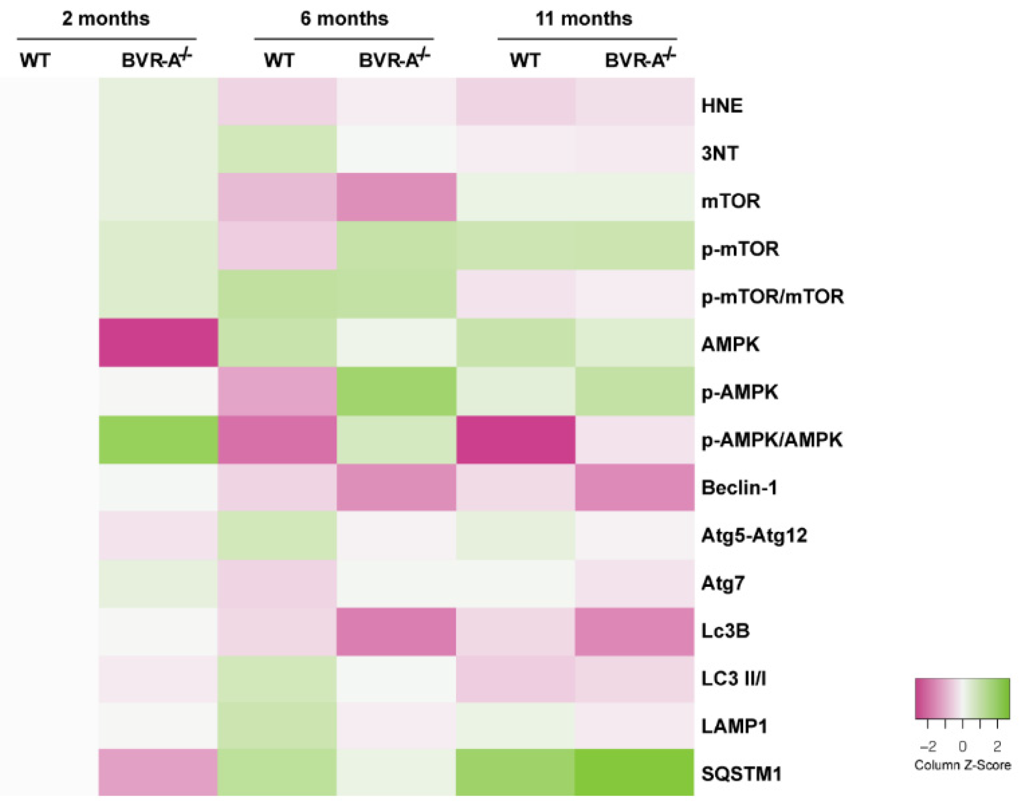 Antioxidants 09 00671 g006