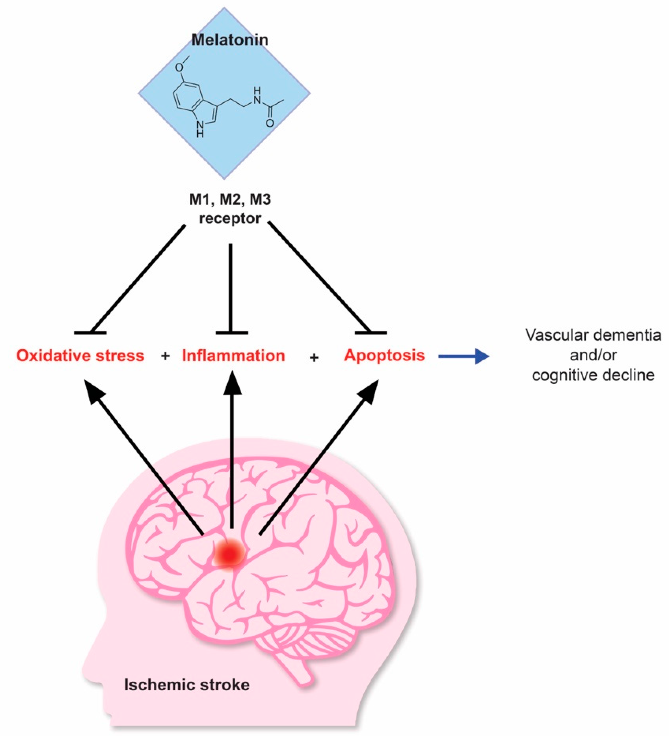 Antioxidants 09 00672 g001