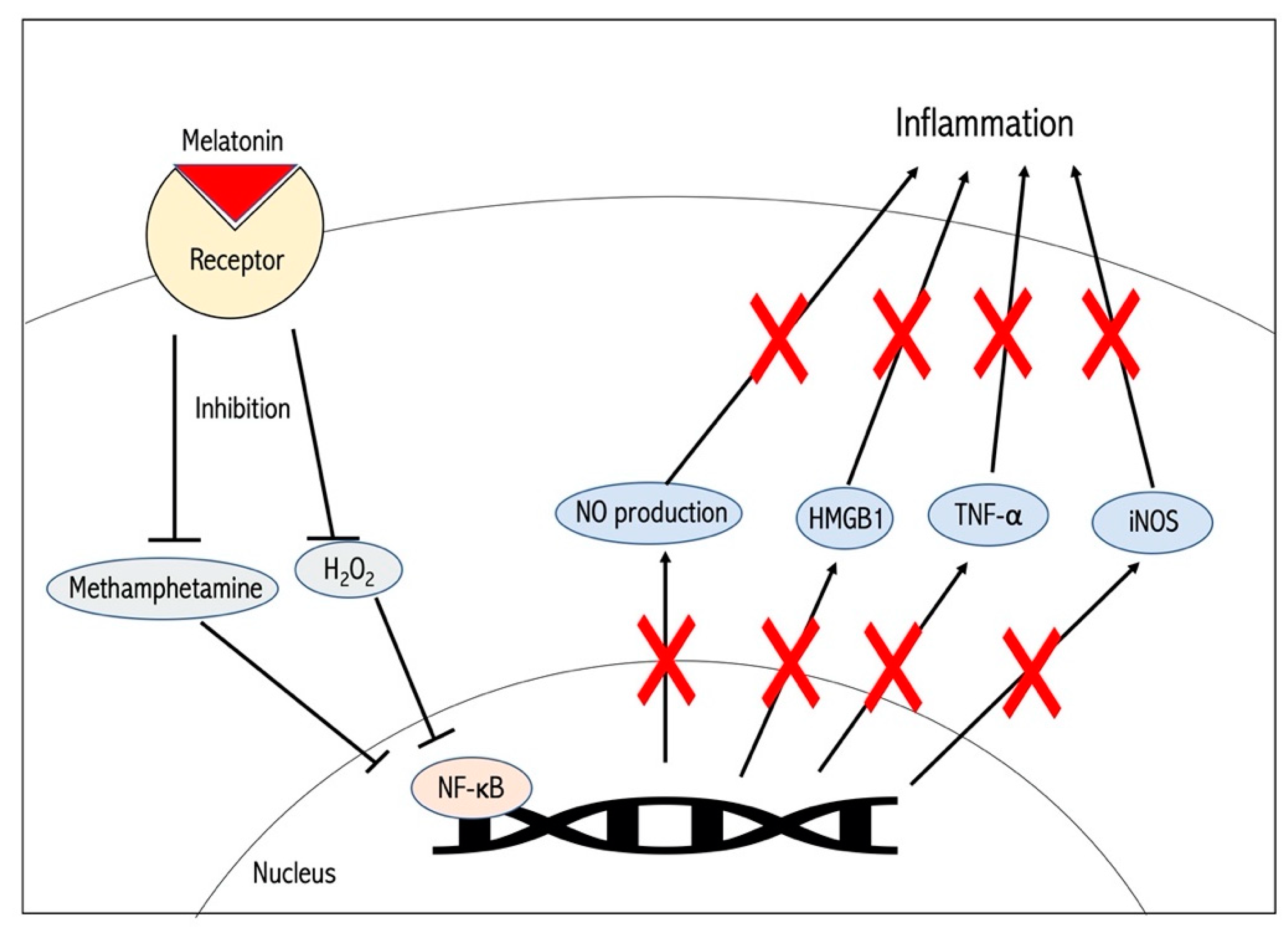 Antioxidants 09 00672 g002