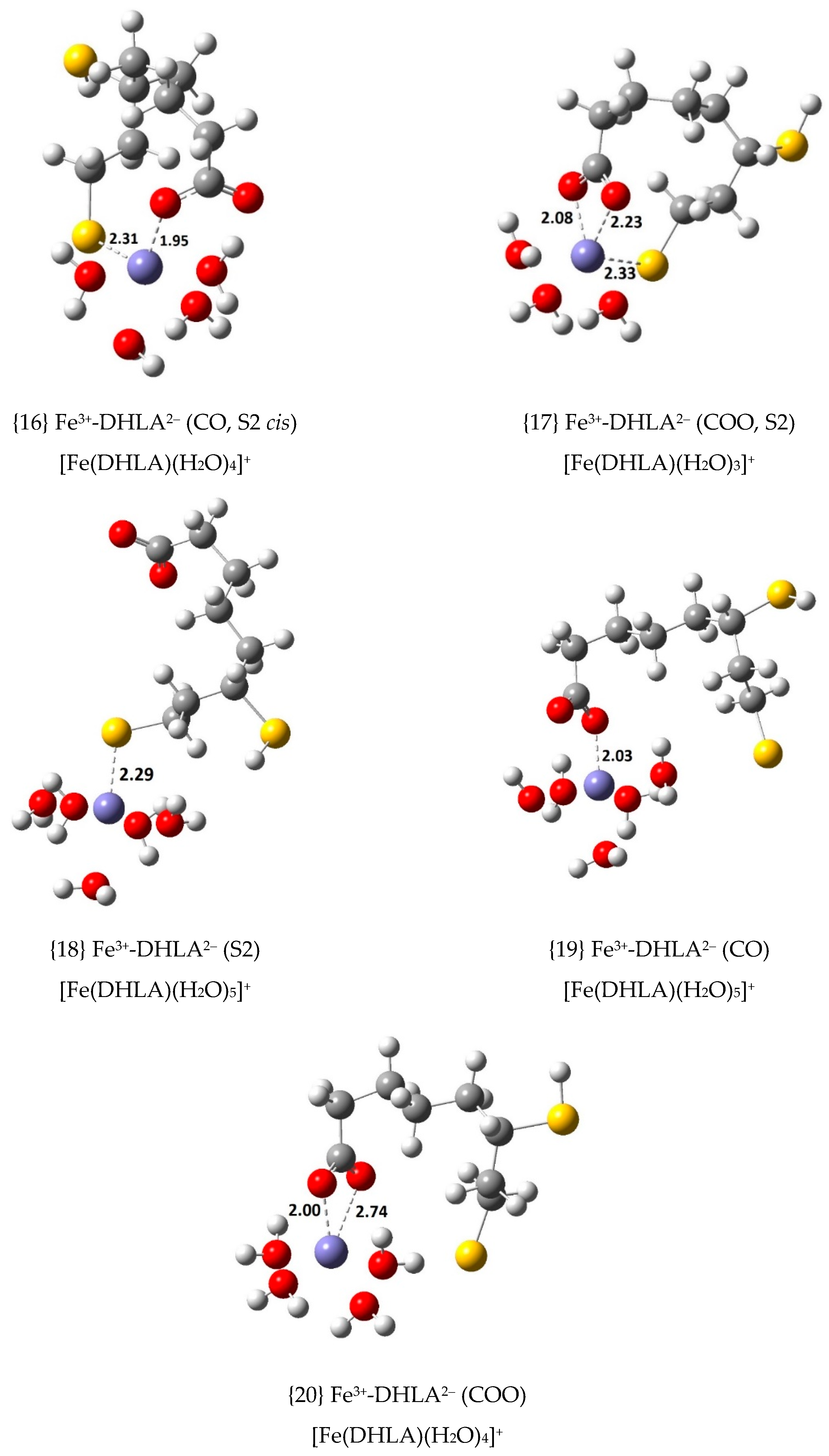 Antioxidants 09 00674 g005