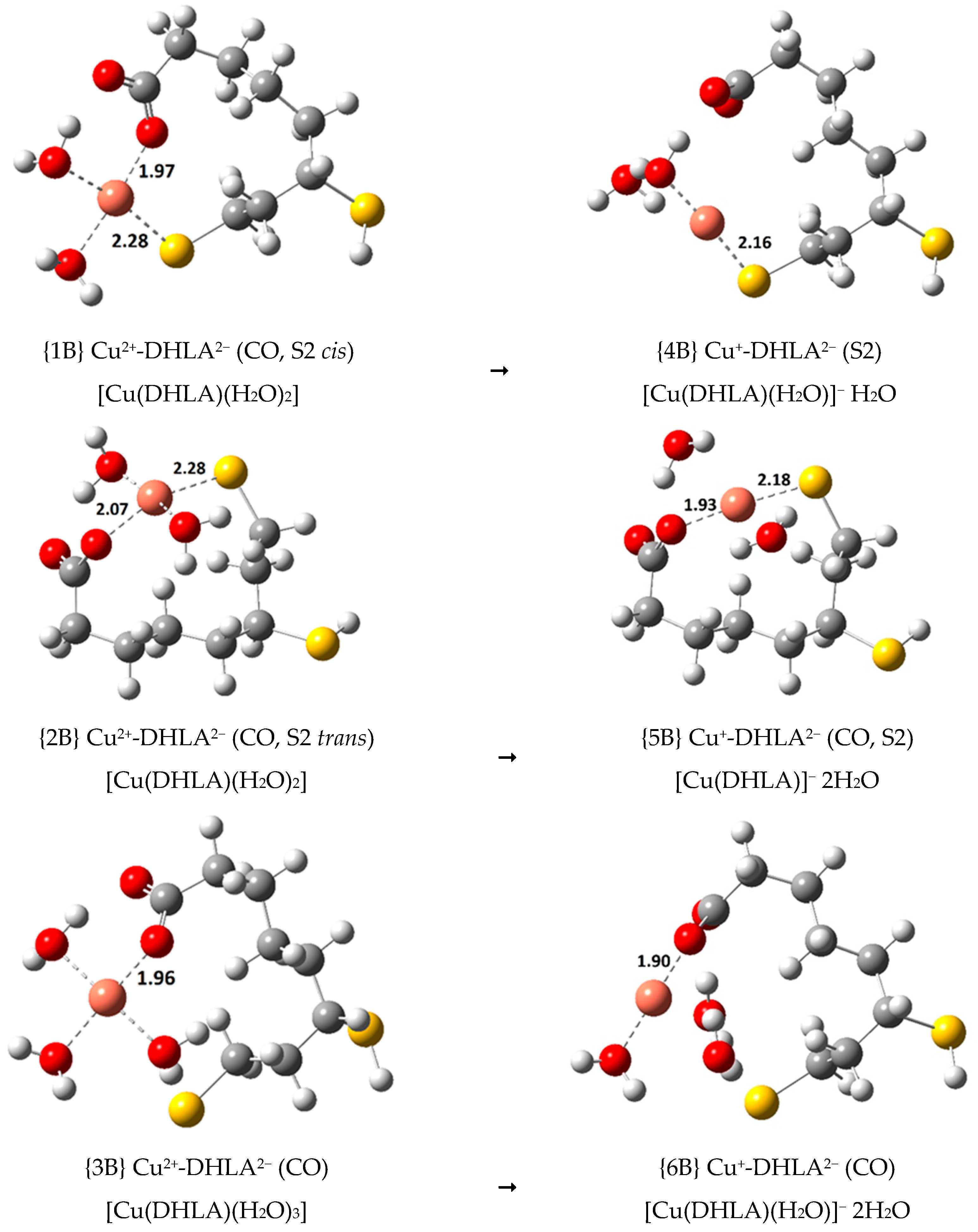 Antioxidants 09 00674 g010