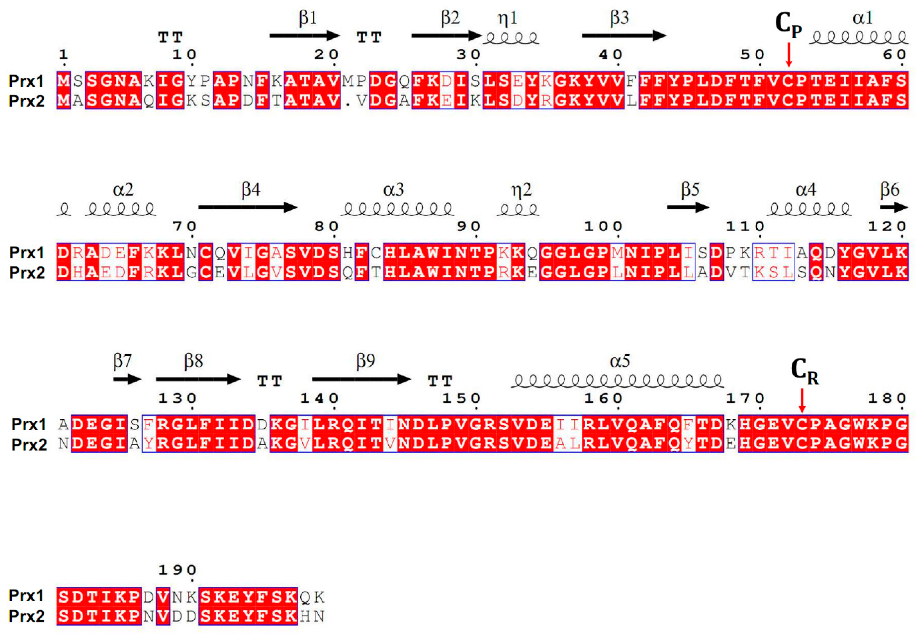Antioxidants 09 00680 g001