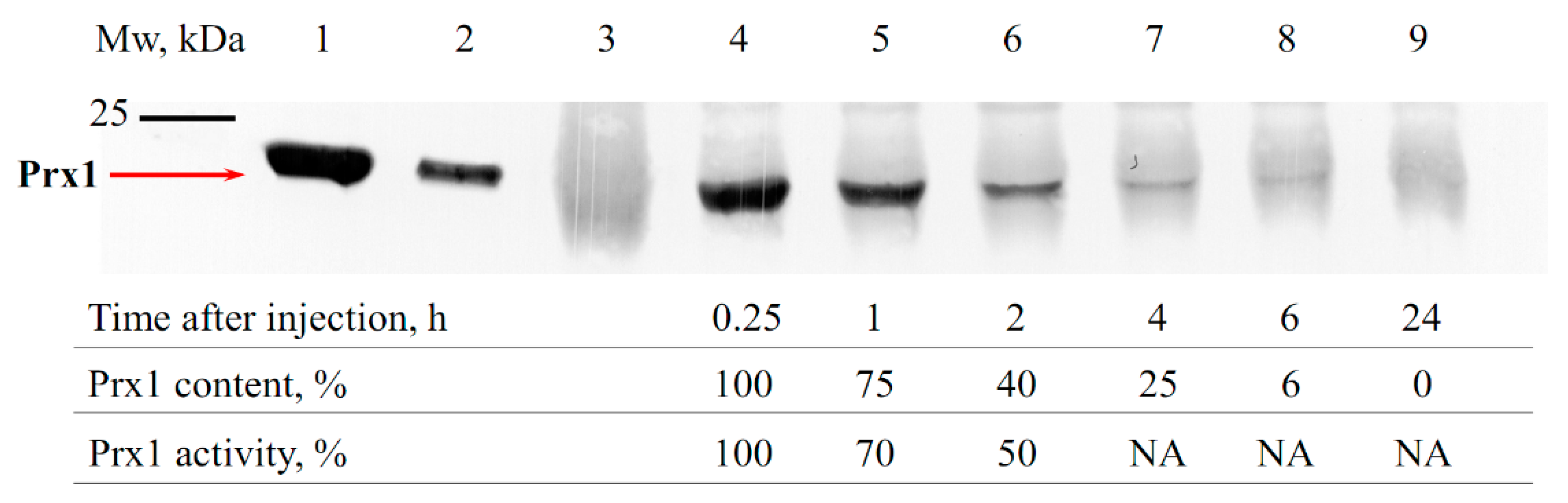 Antioxidants 09 00680 g002