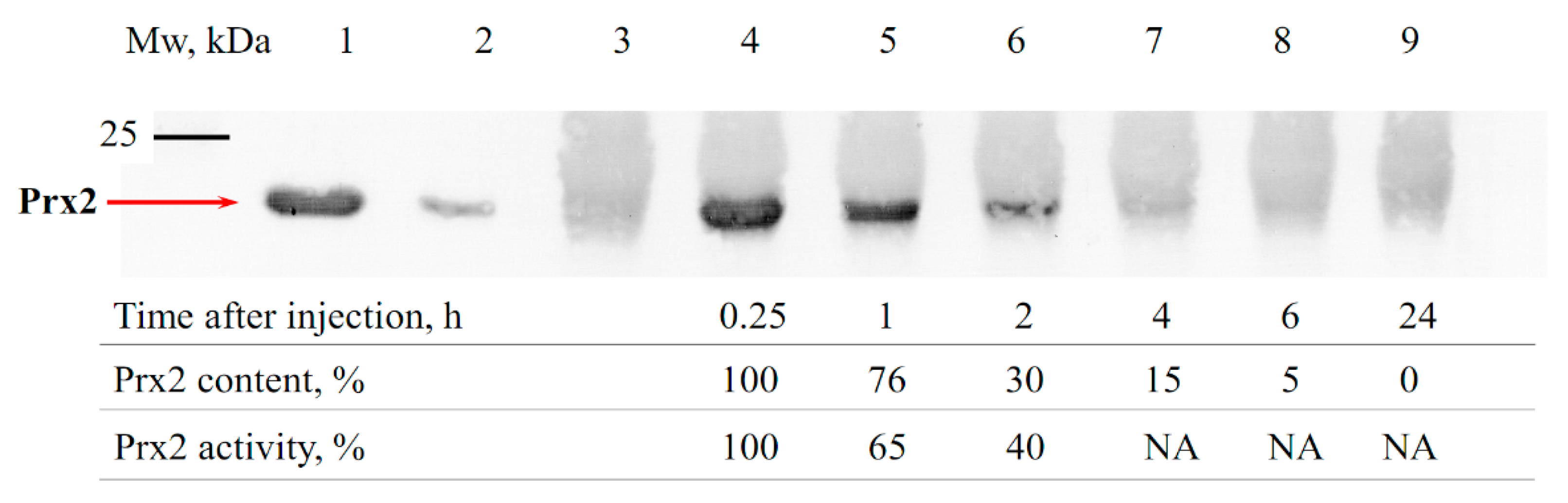 Antioxidants 09 00680 g003