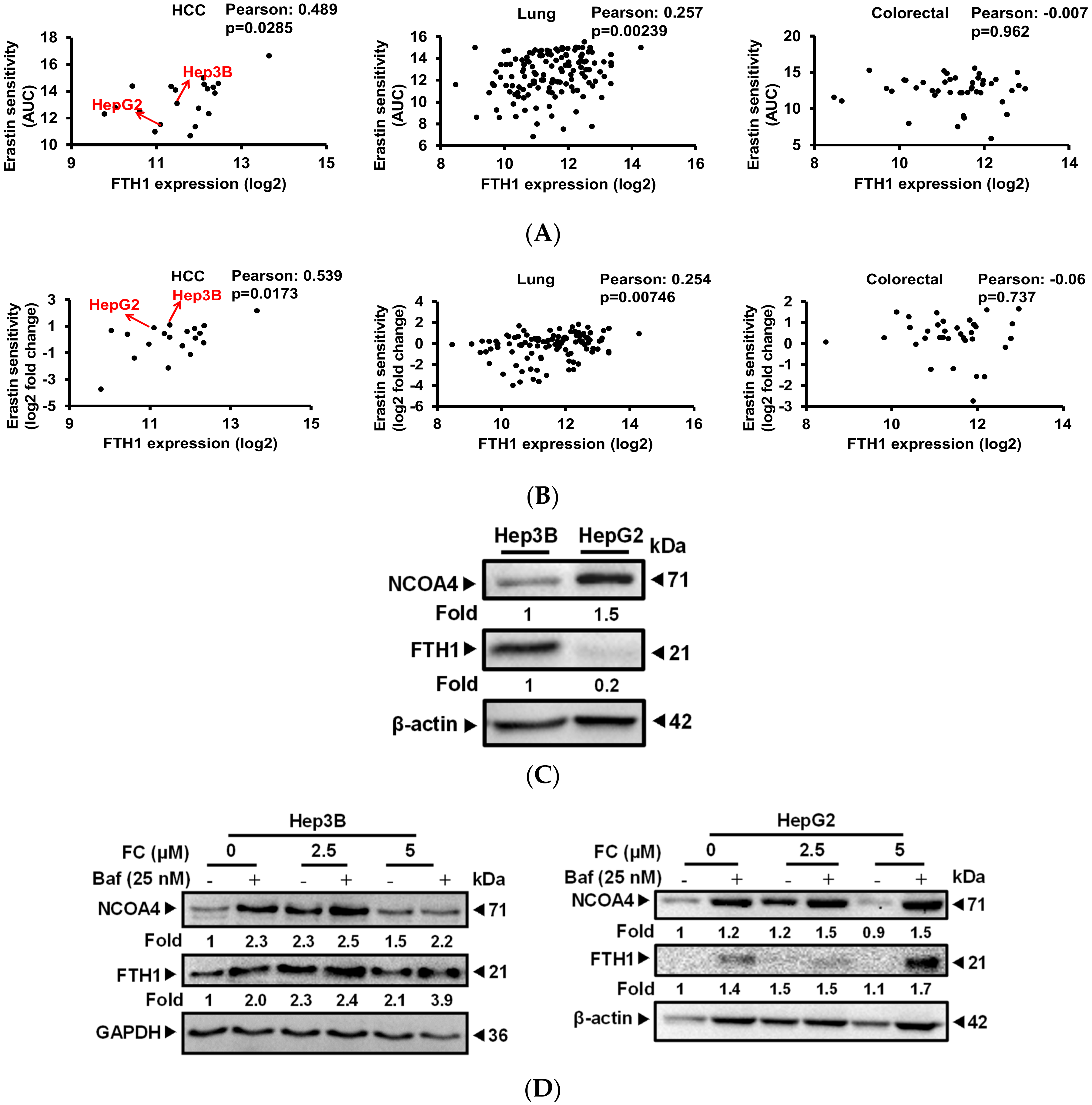 Antioxidants 09 00682 g003a