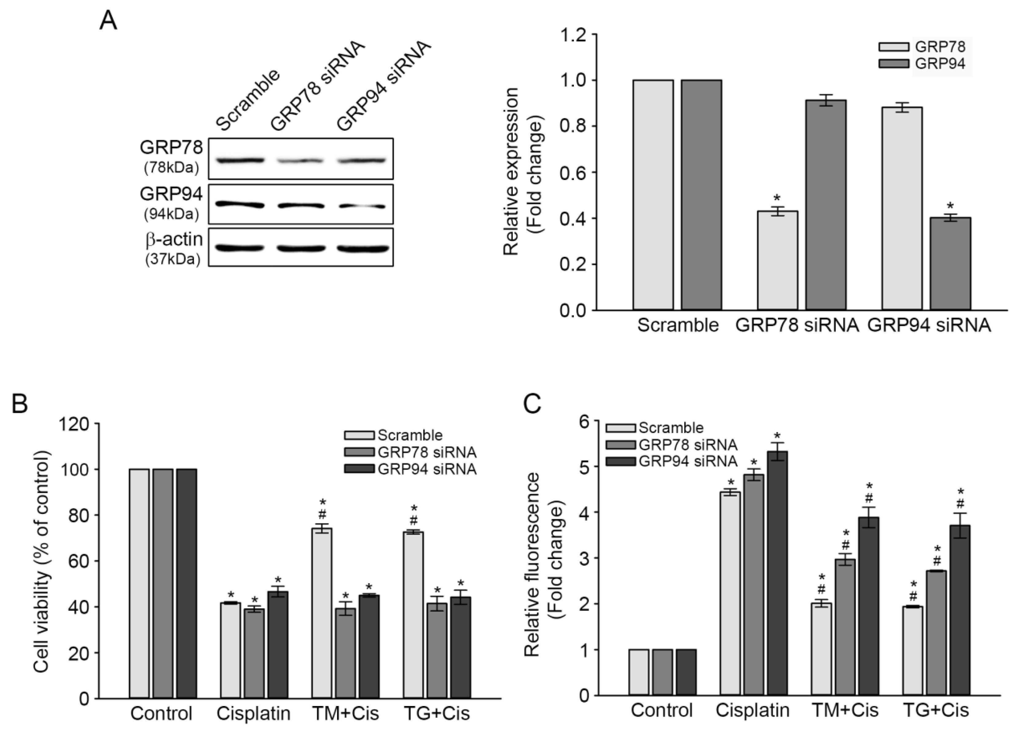 Antioxidants 09 00686 g005