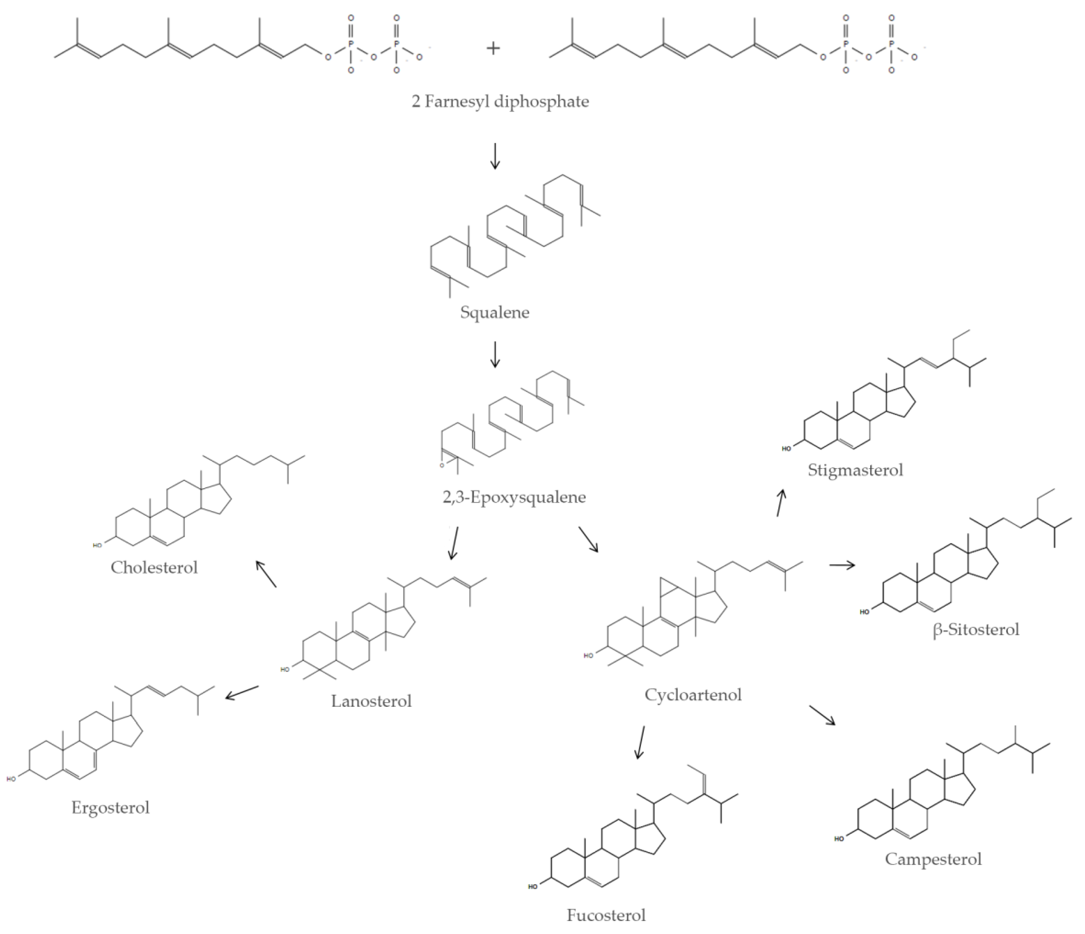 Antioxidants 09 00688 g001