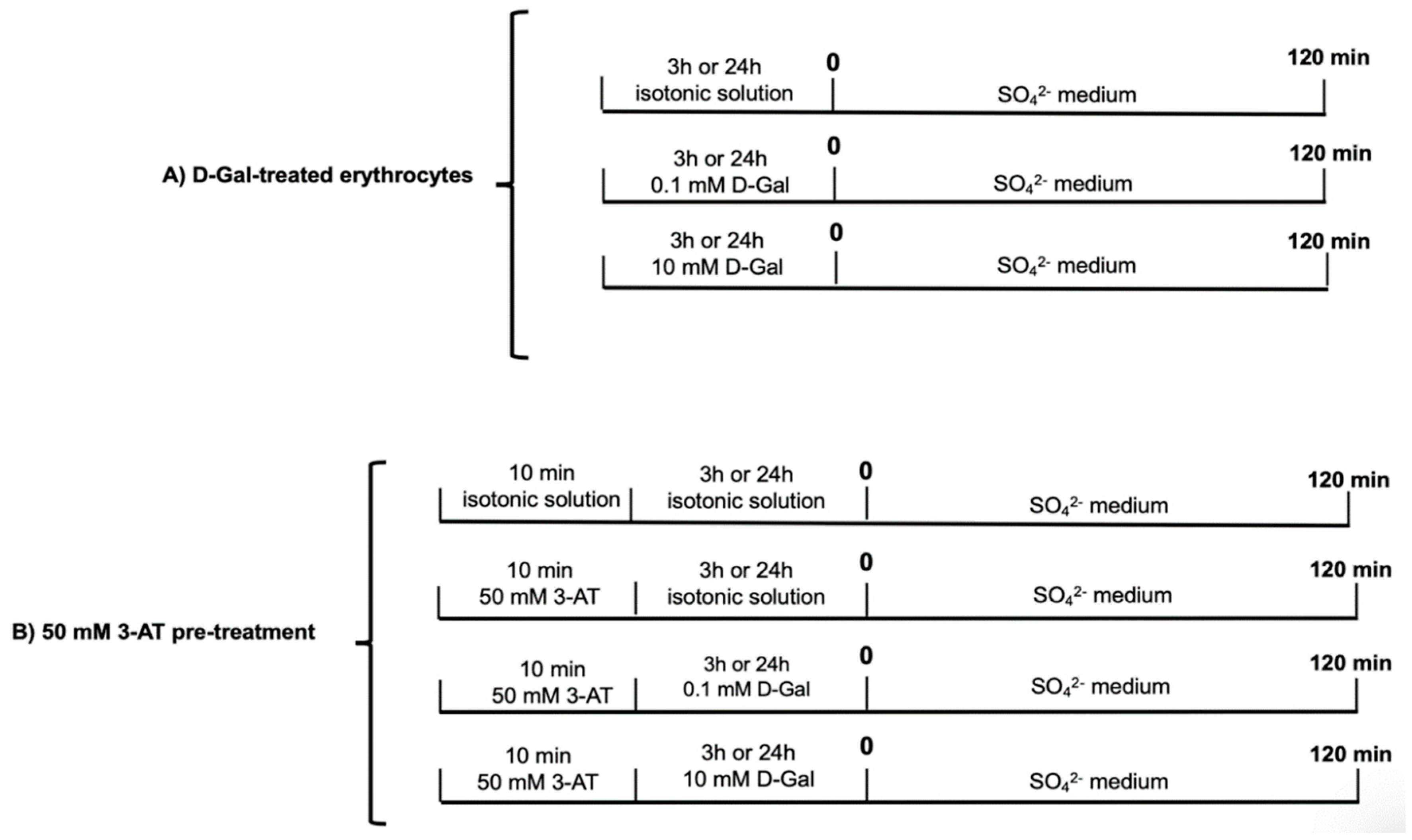Antioxidants 09 00689 g001