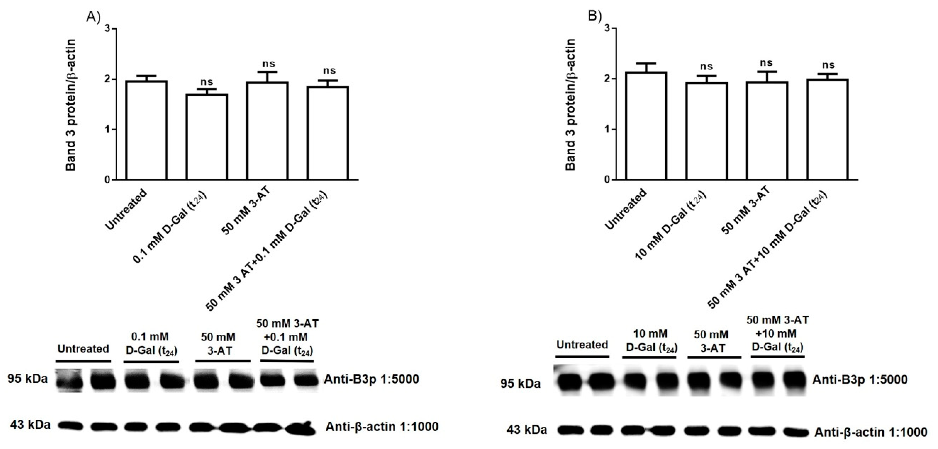 Antioxidants 09 00689 g006