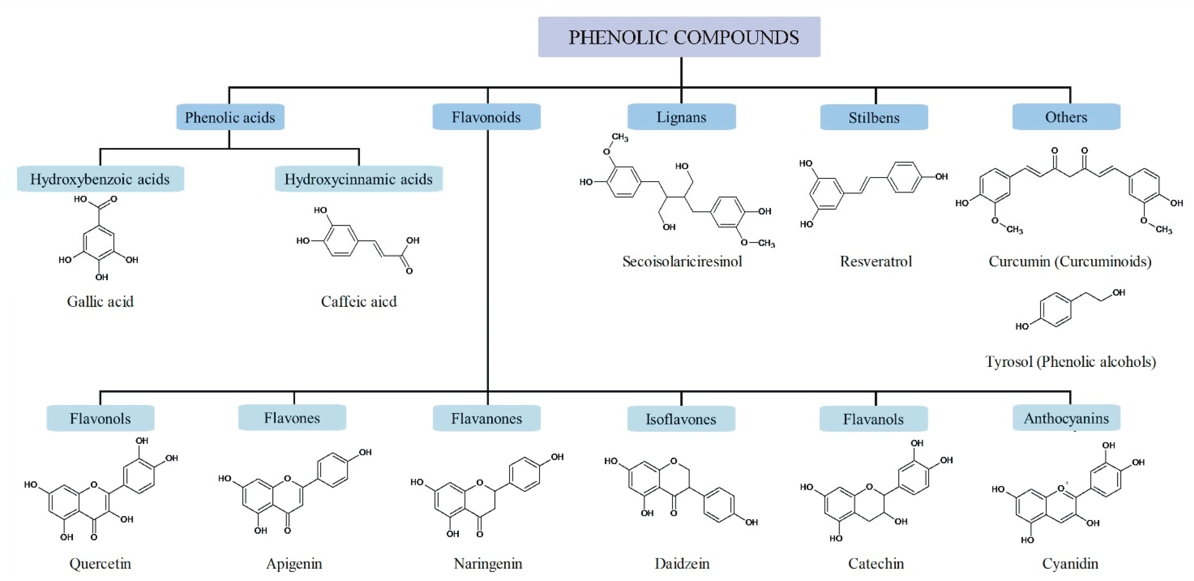 Antioxidants 09 00691 g001 Antioxidants 09 00691 g001