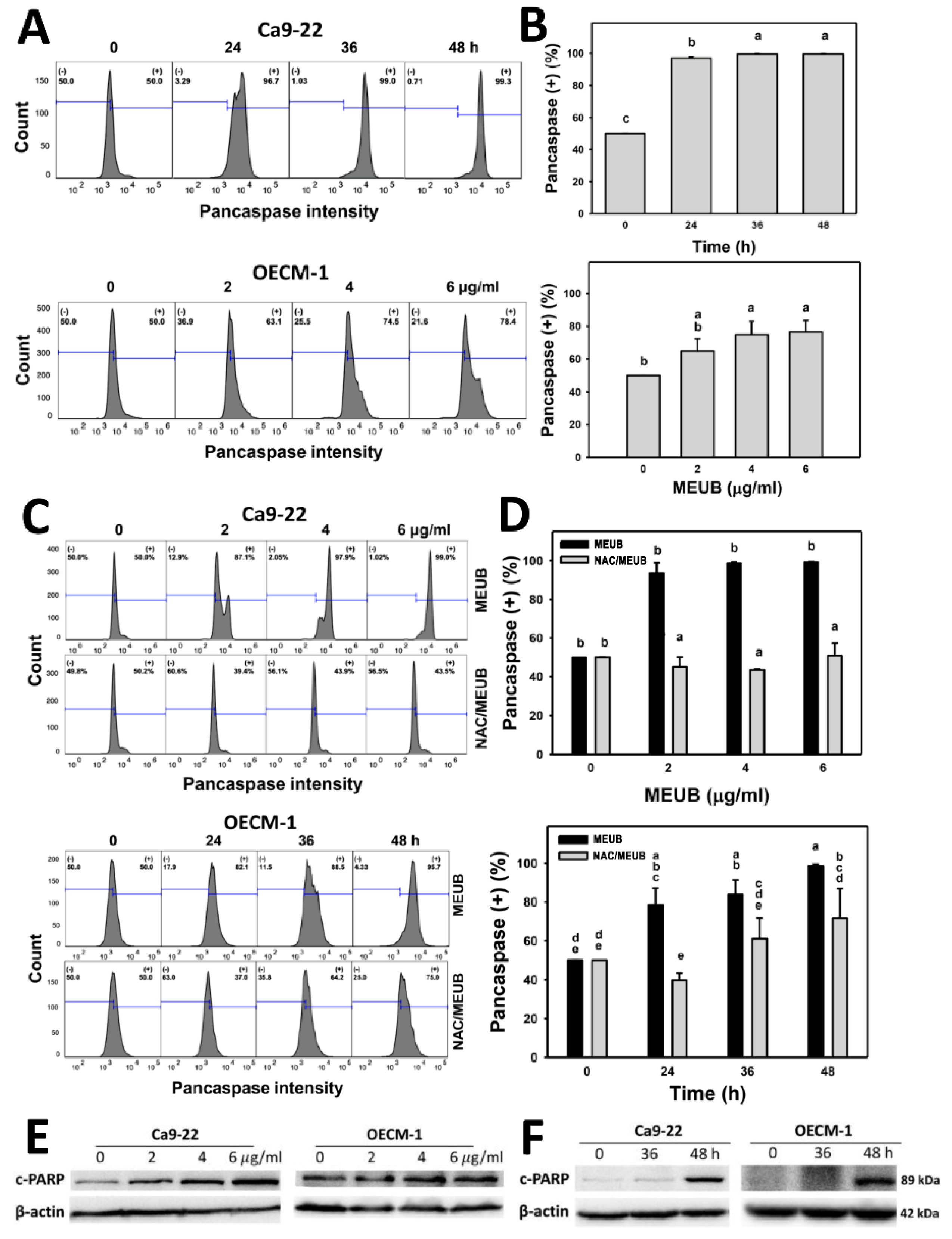 Antioxidants 09 00694 g005