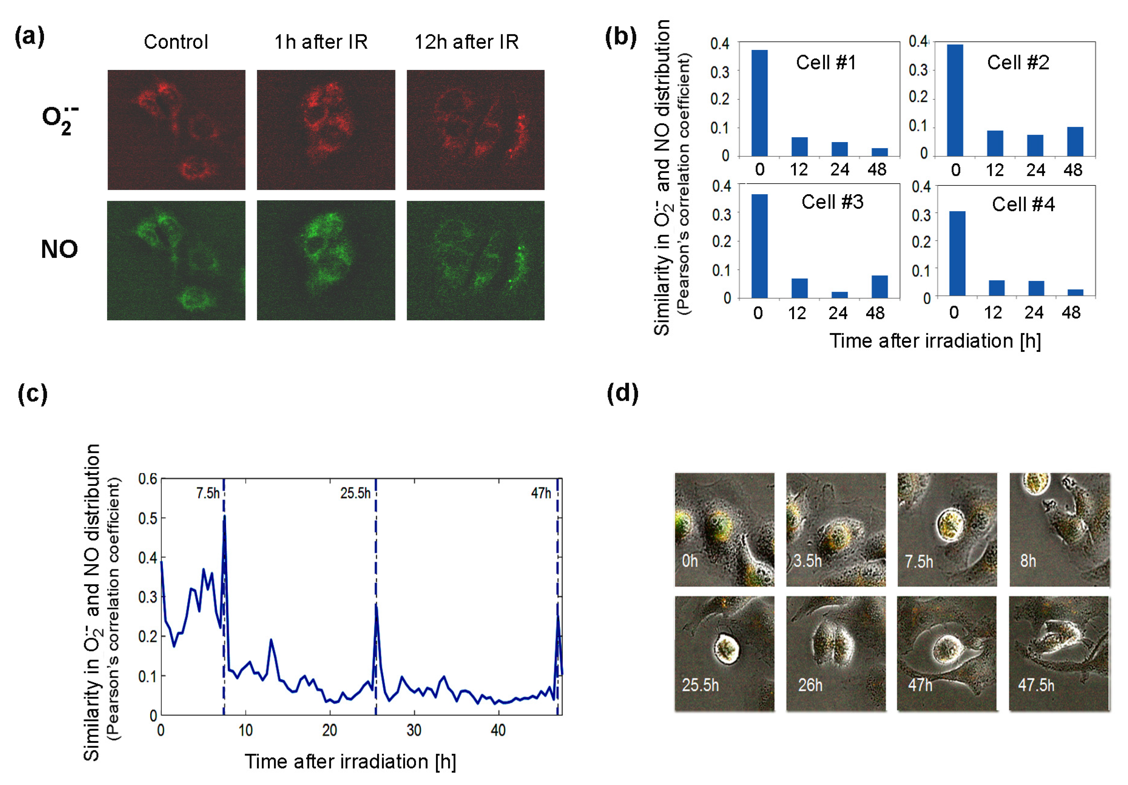 Antioxidants 09 00701 g006