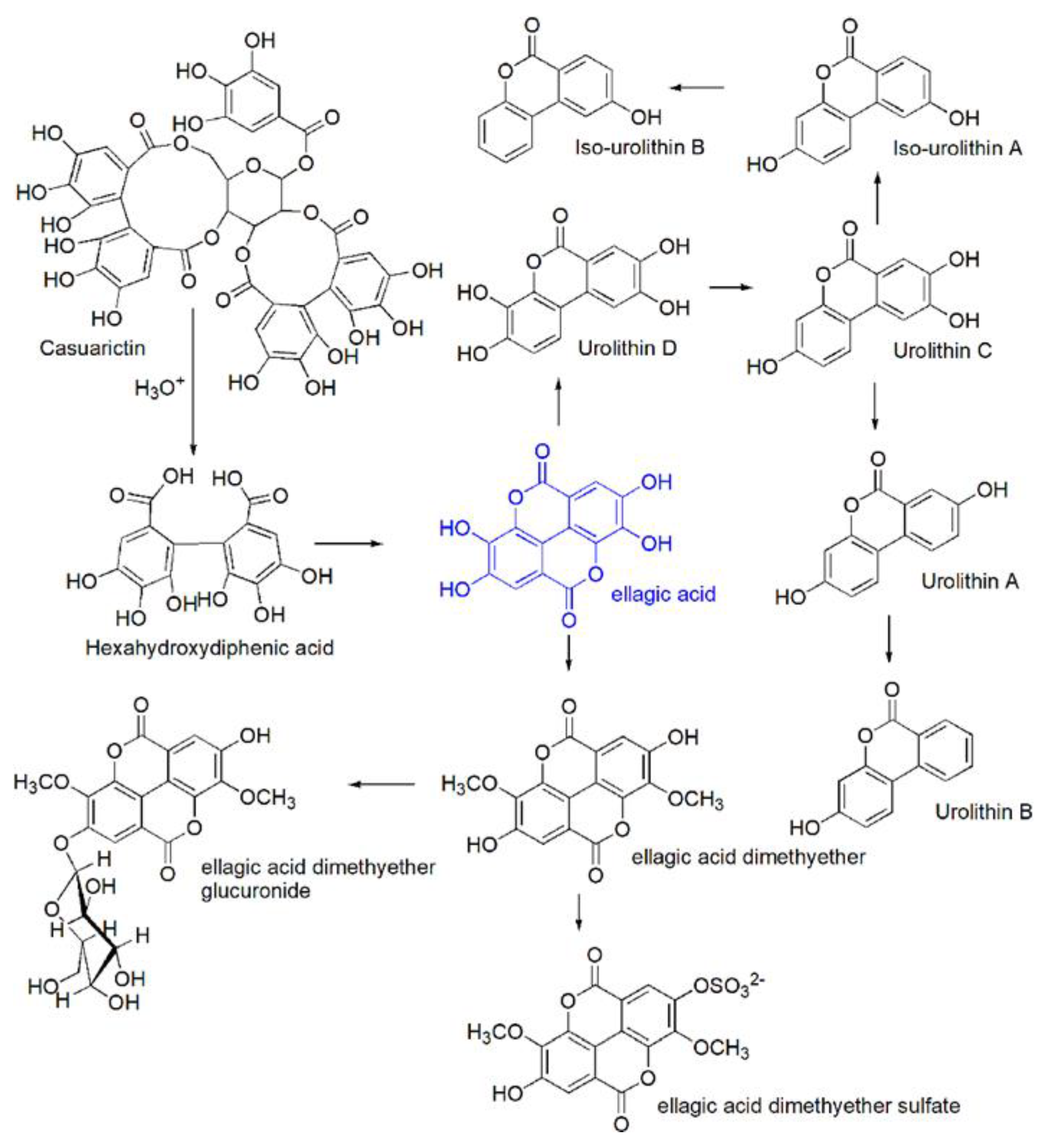 Antioxidants 09 00707 g004