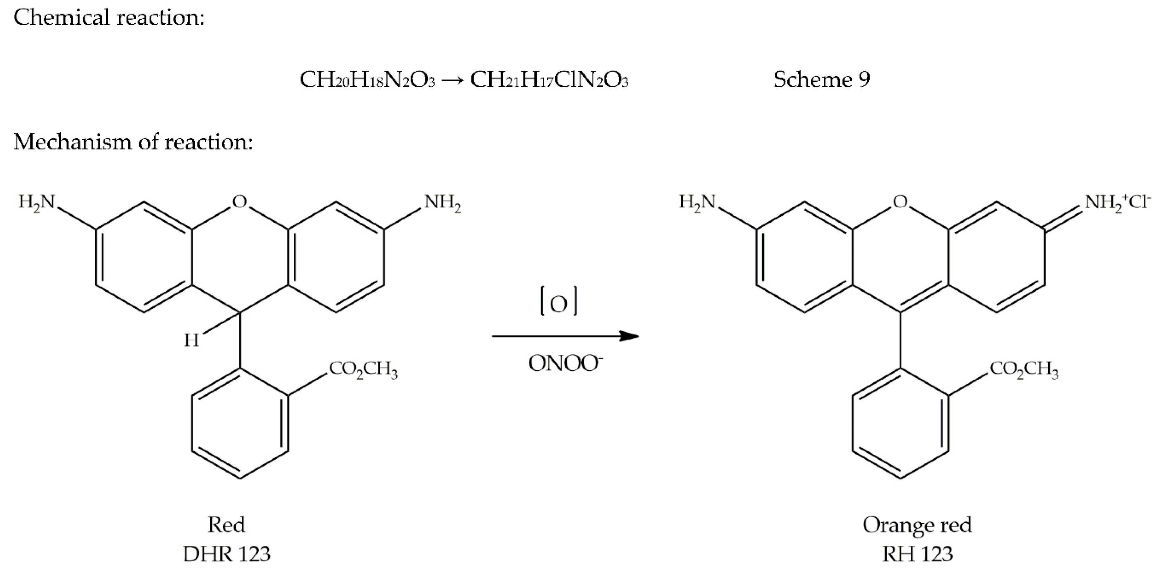 Antioxidants 09 00709 g008