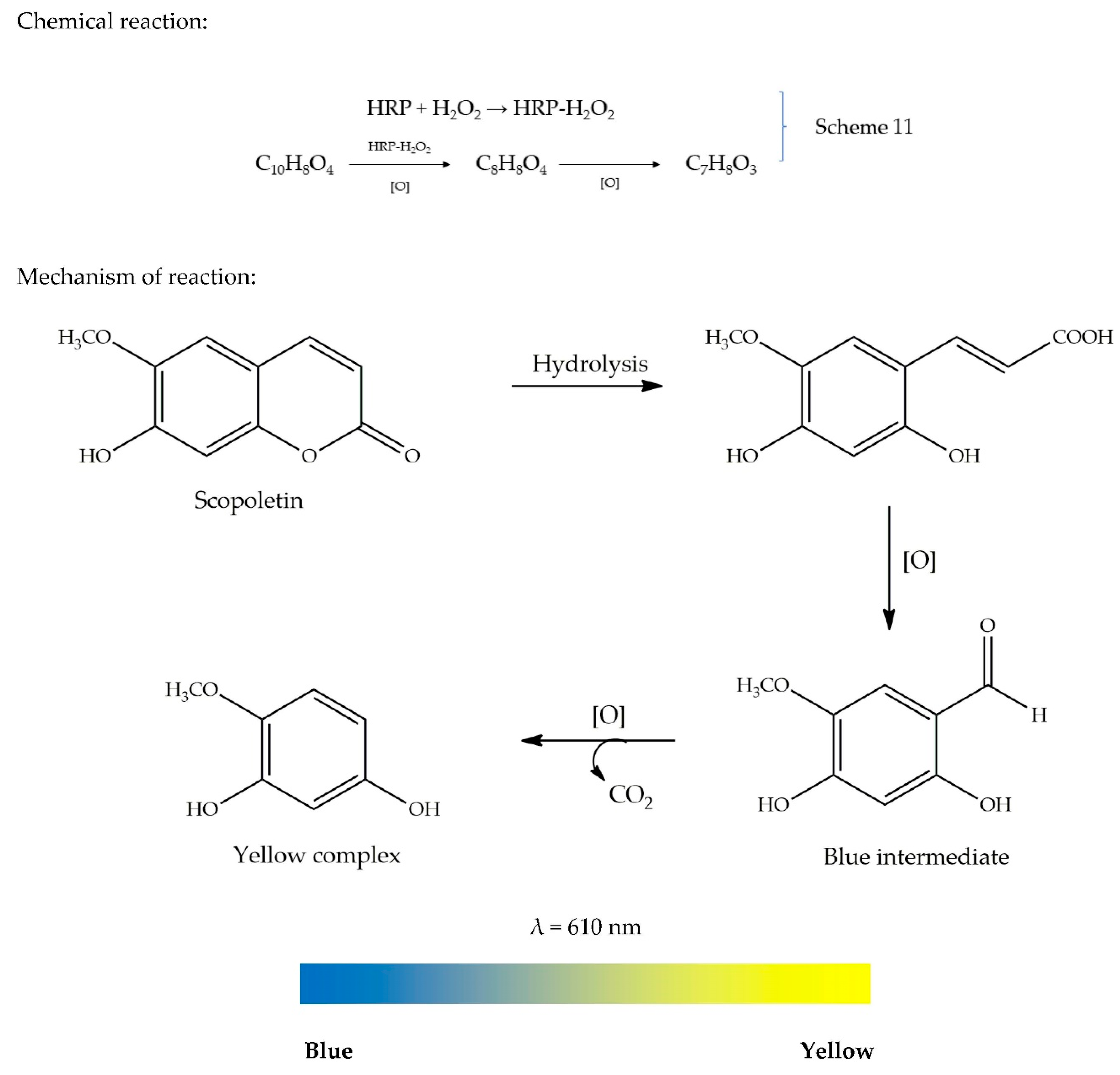 Antioxidants 09 00709 g010