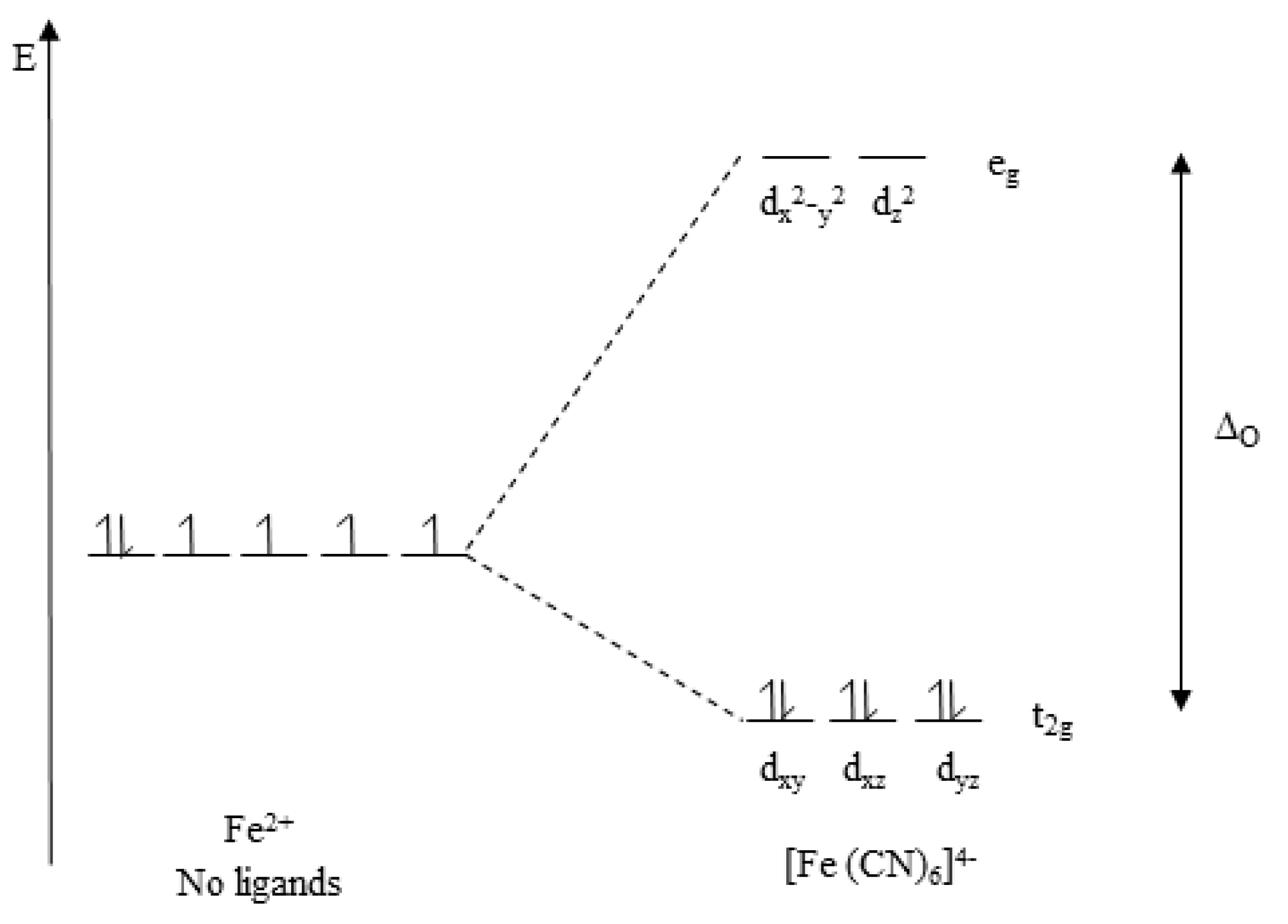 Antioxidants 09 00709 g013