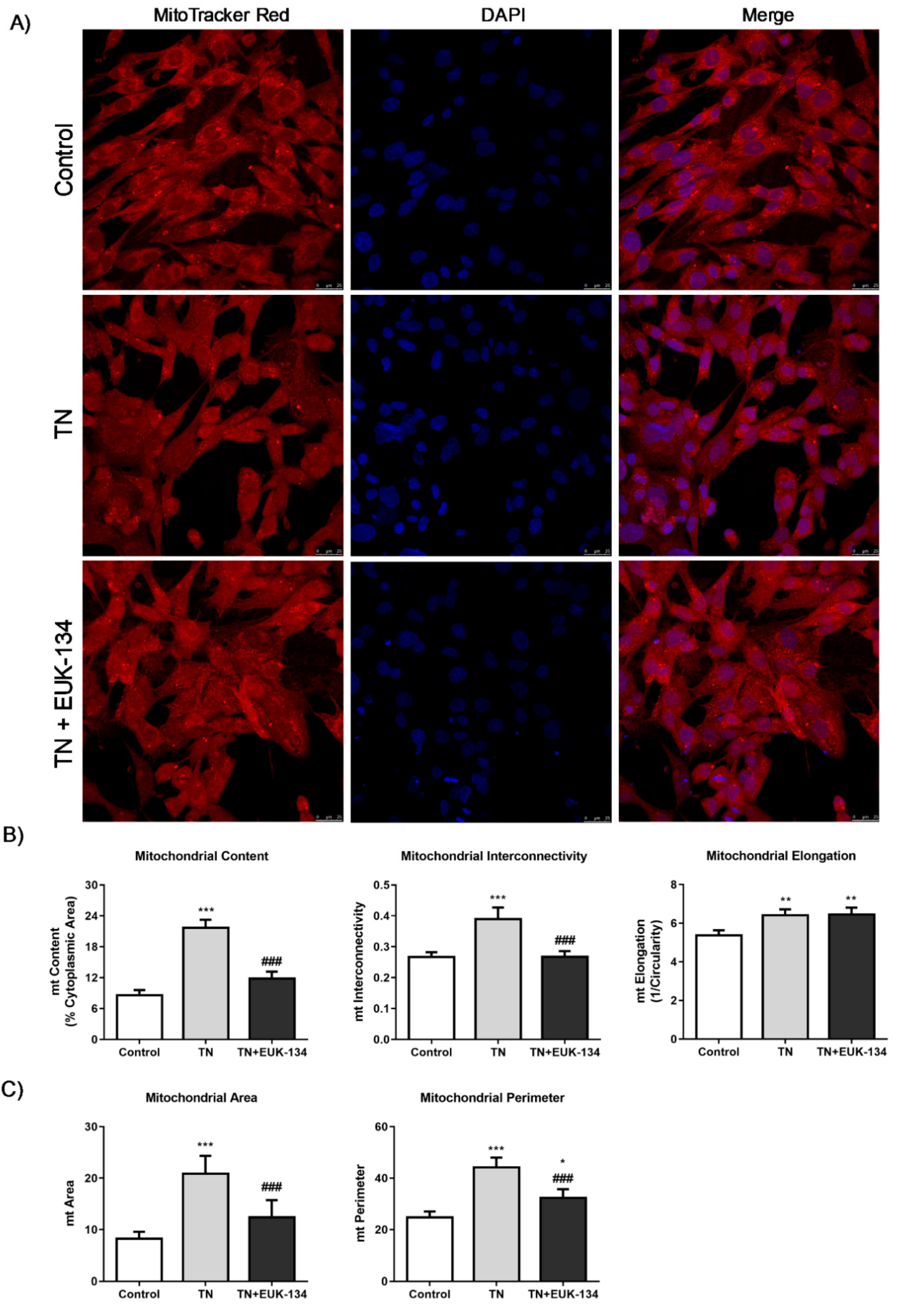 Antioxidants 09 00710 g005