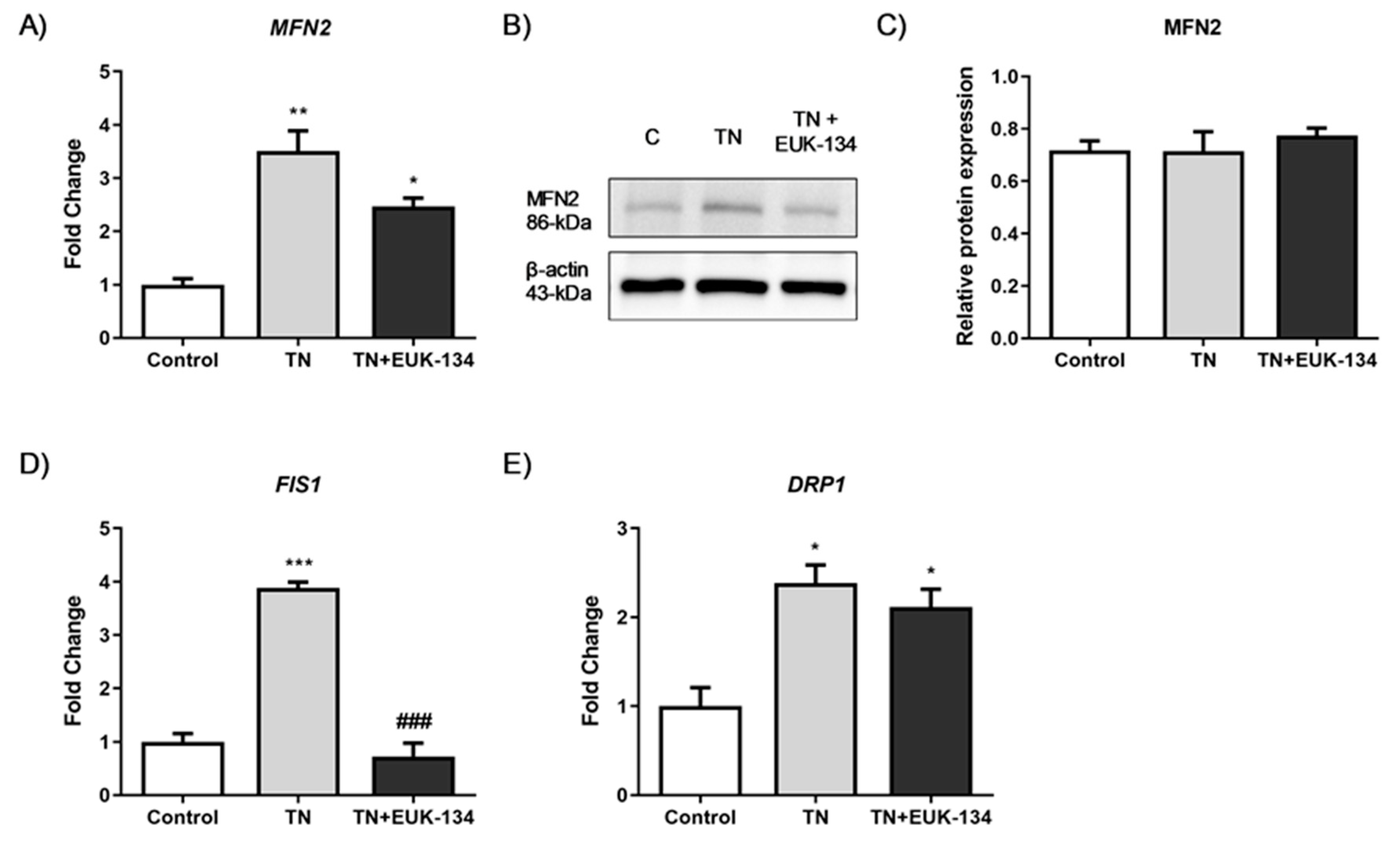 Antioxidants 09 00710 g006