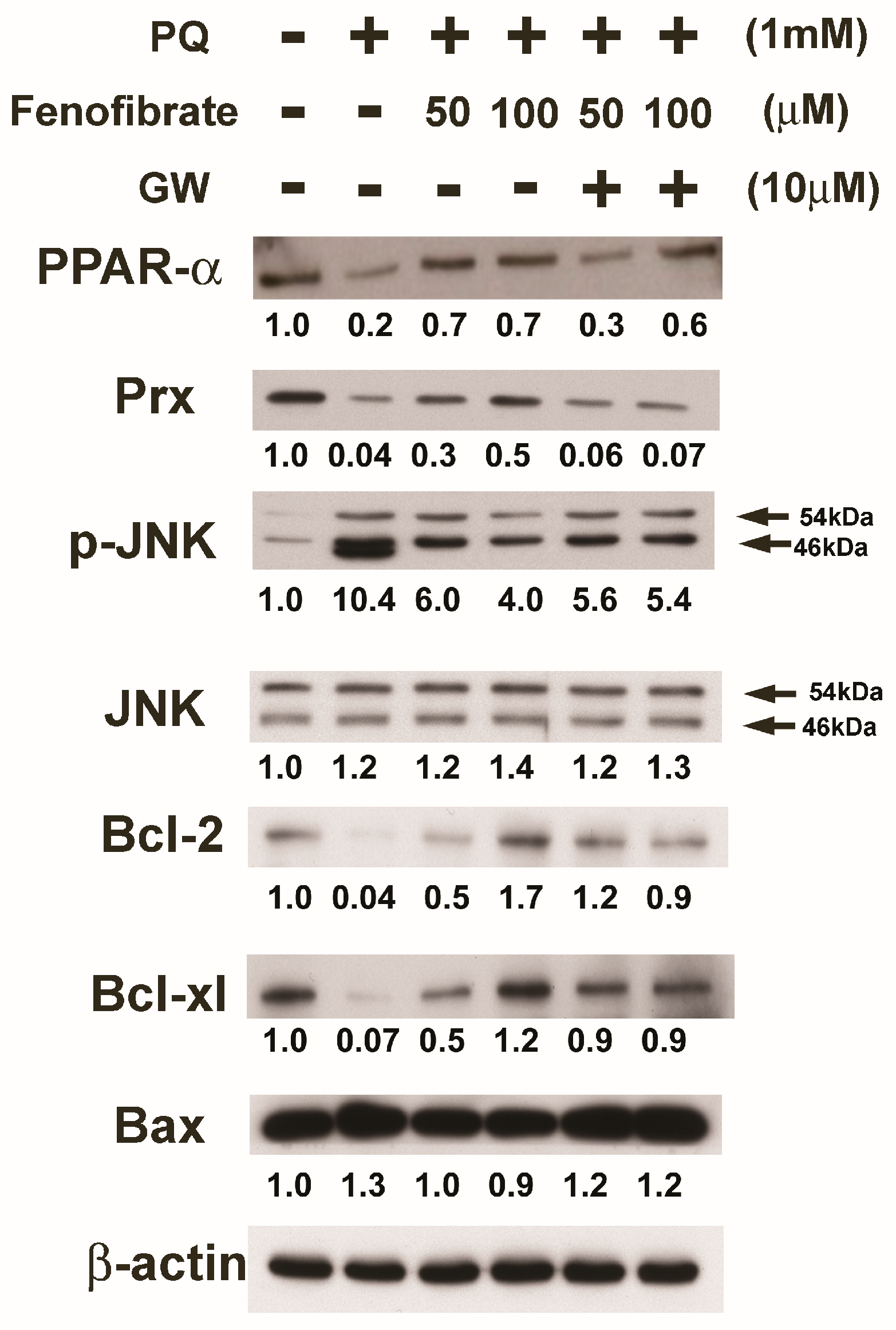 Antioxidants 09 00712 g006