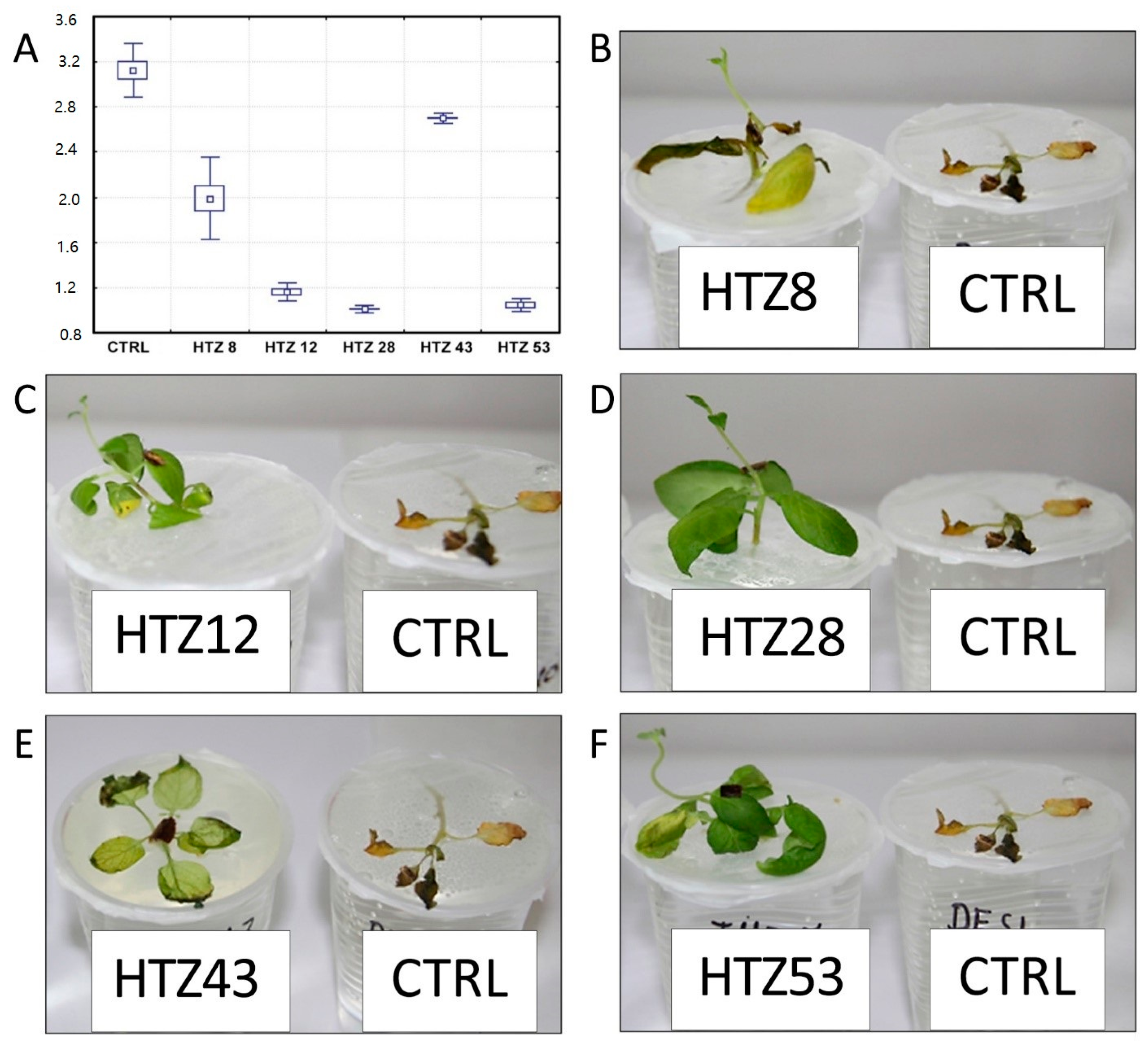 Antioxidants 09 00717 g010